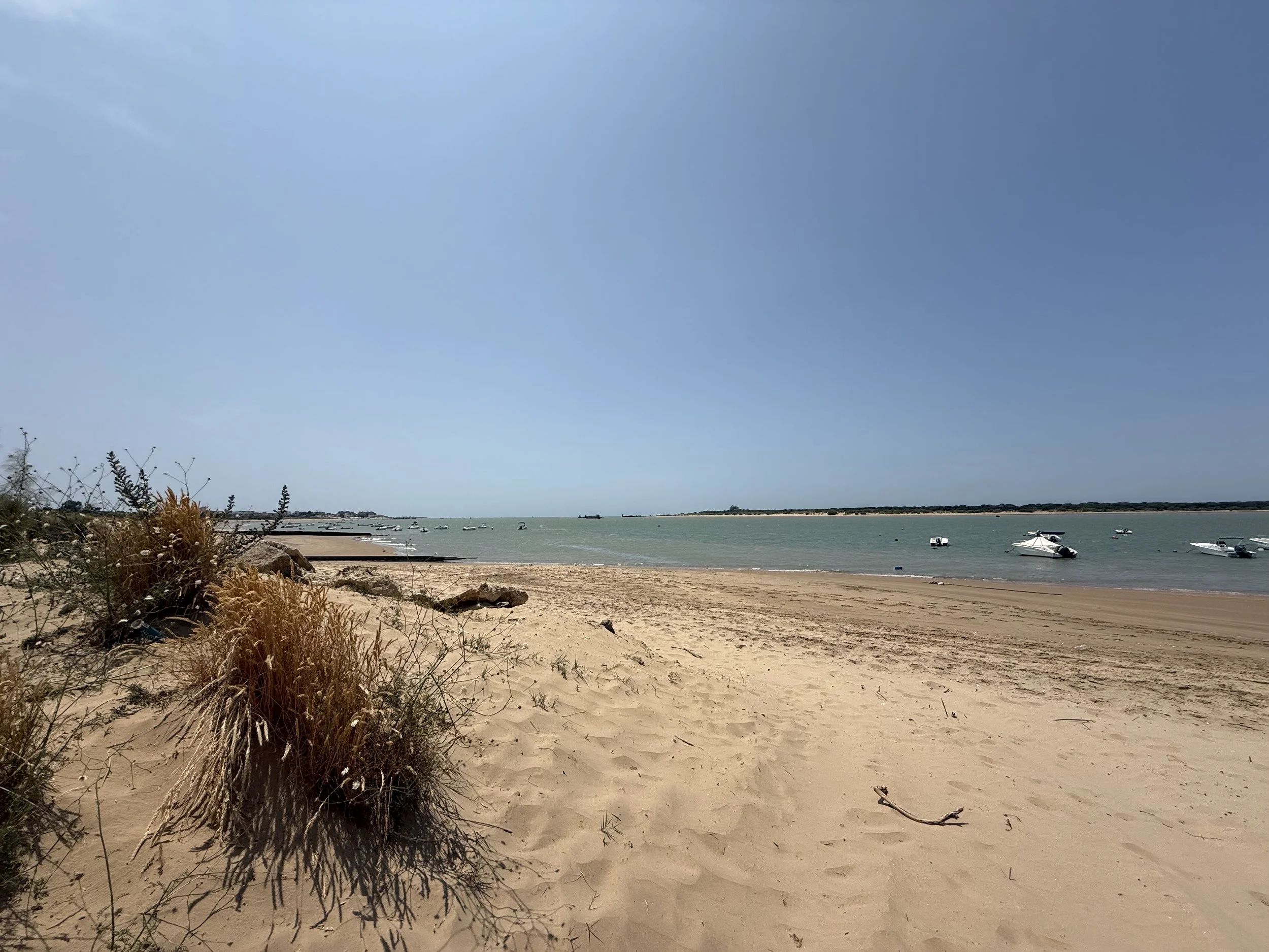 IMG_4385.jpeg