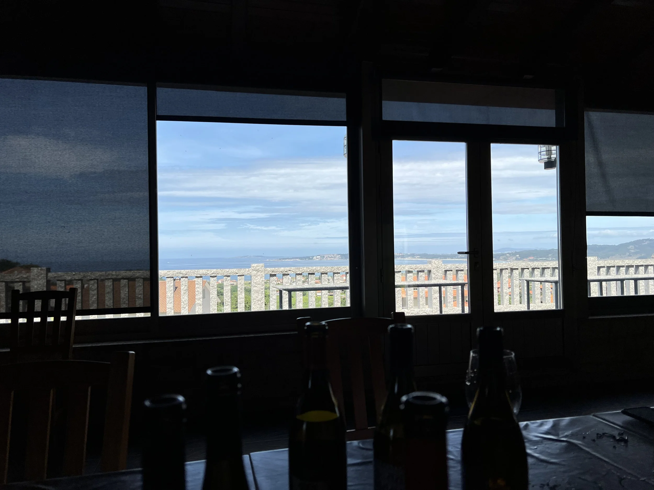 IMG_2019.jpeg