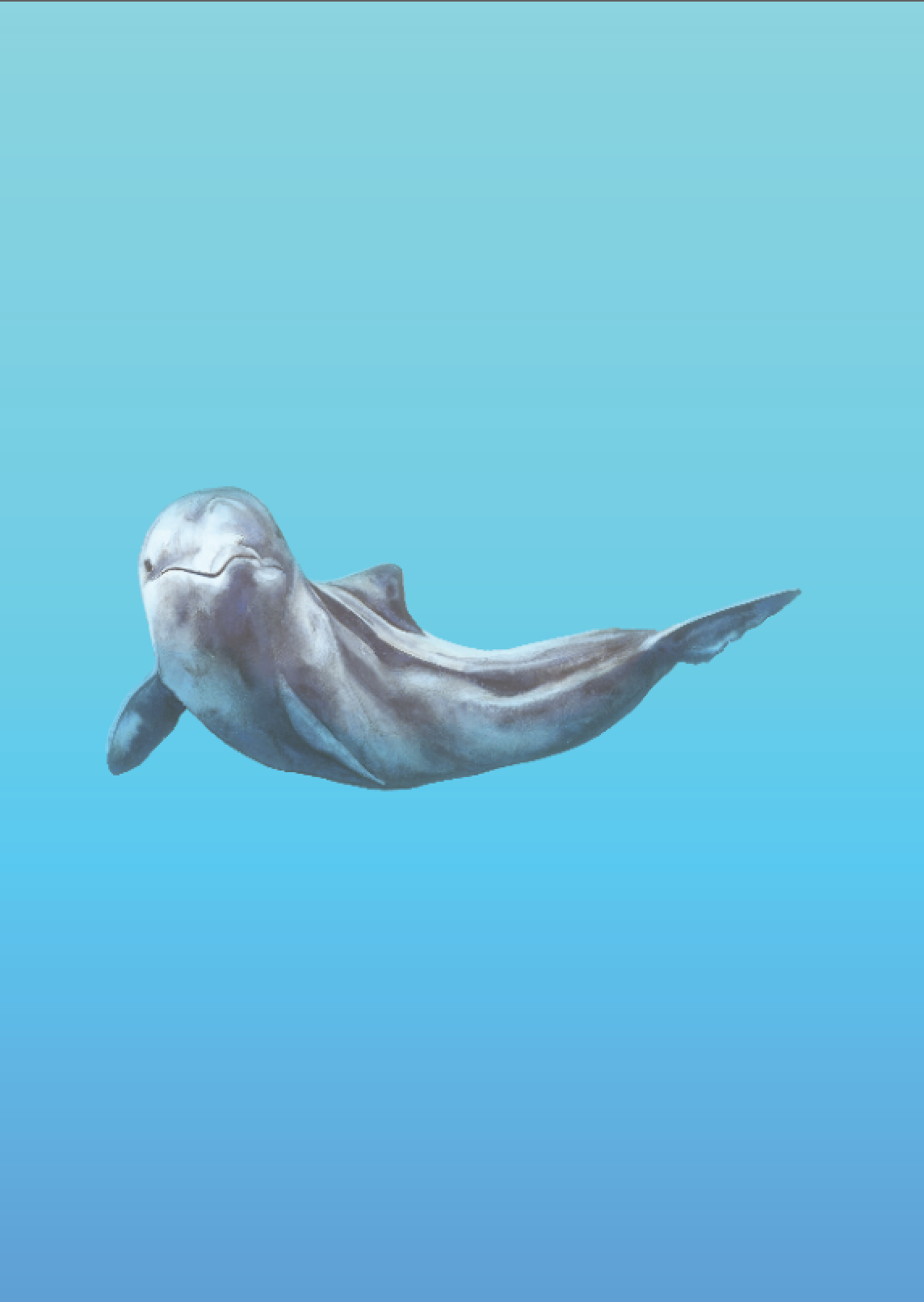 Screenshot 2018-08-23 07.06.59.png