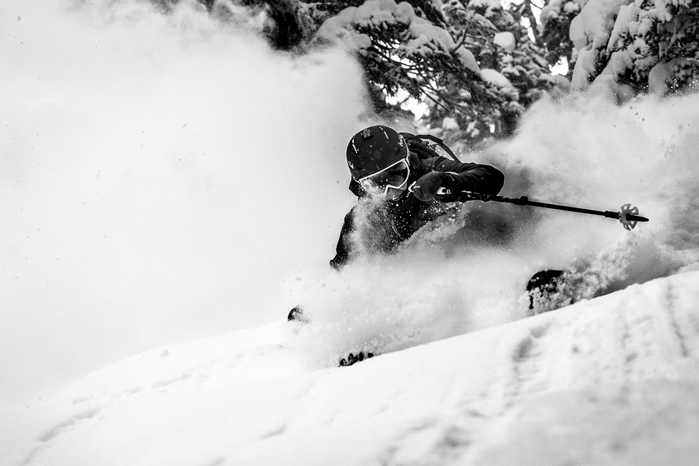Nat Segal, Whistler Blackcomb