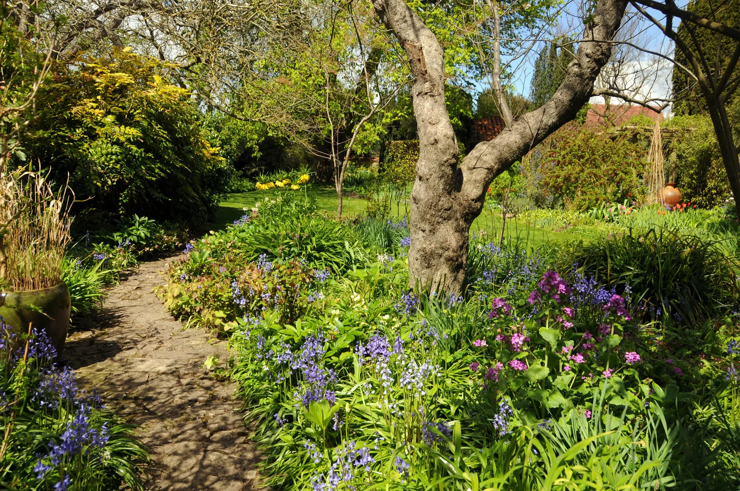 Turn+End+looking+across+the+Spring+Garden+April+2016.jpg