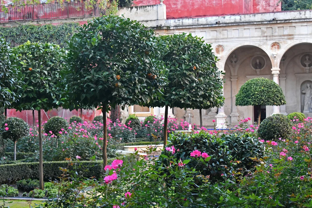 Palacios and Patios - discovering architectural and horticultural ...