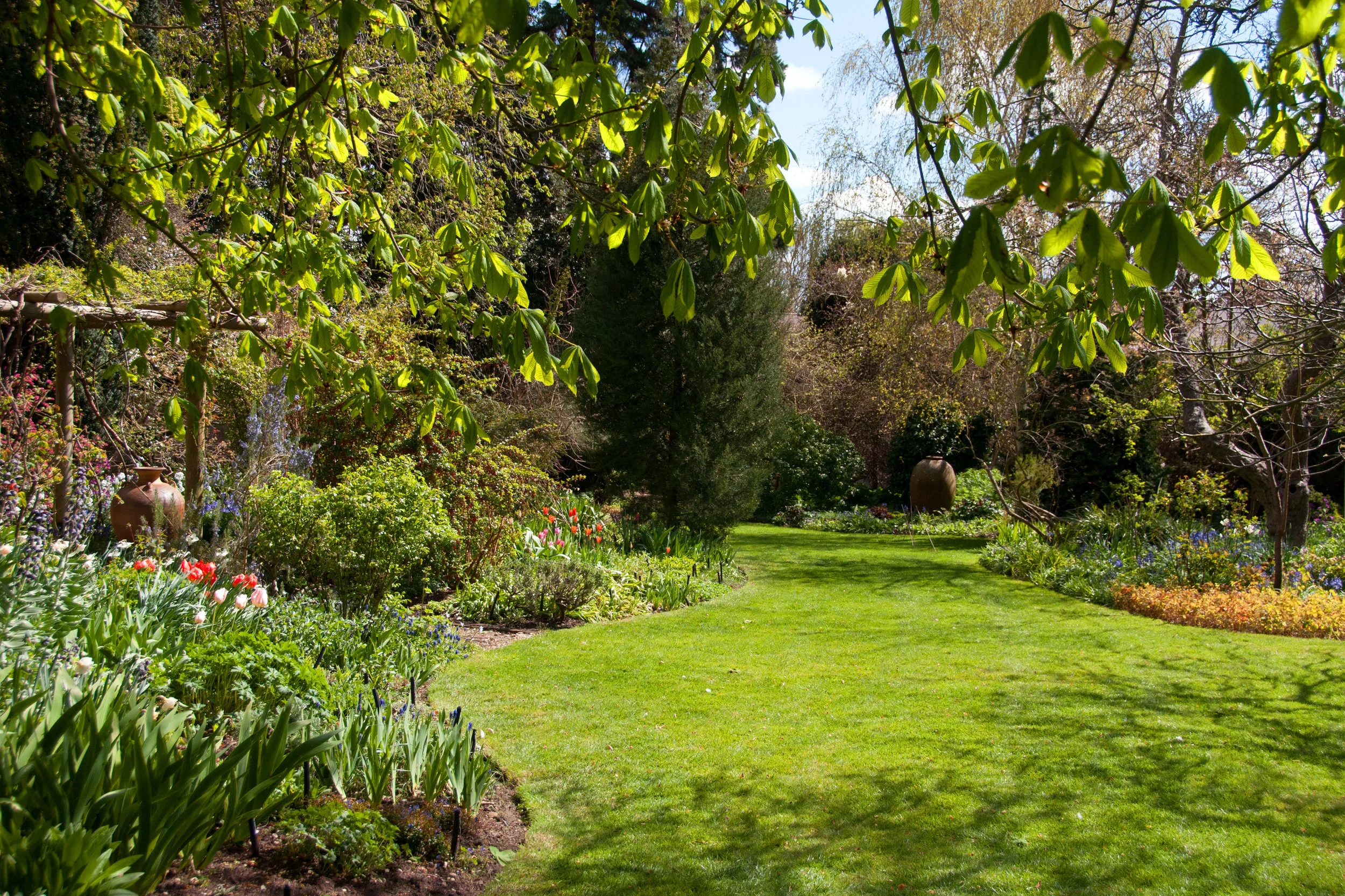The main glade in late spring