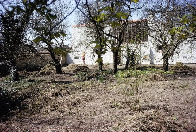 Past Online Event:  A Year in Turn End's Listed Garden with gardener, Jackie Hunt