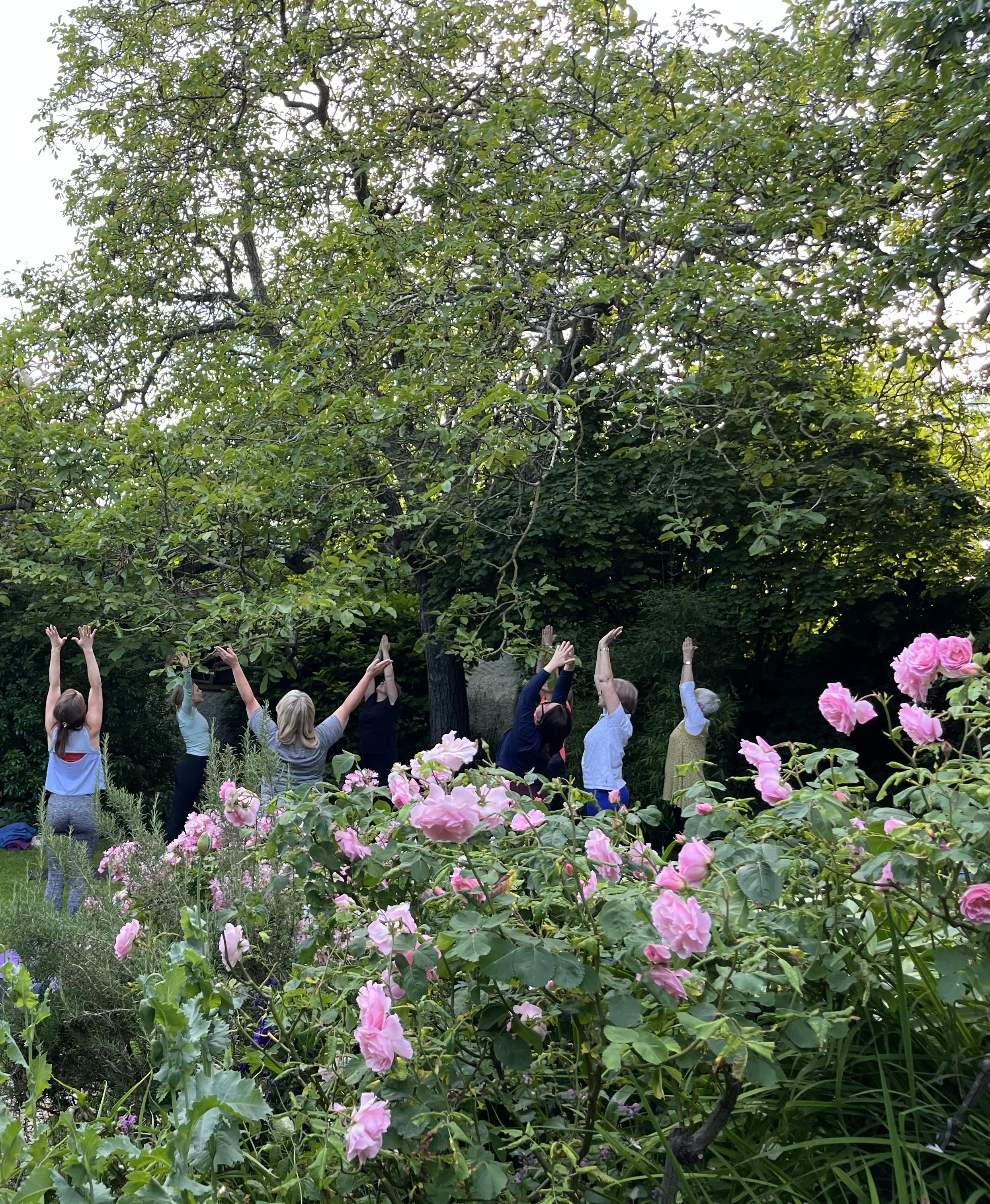 Past Event: Yoga in the Garden with Ilona