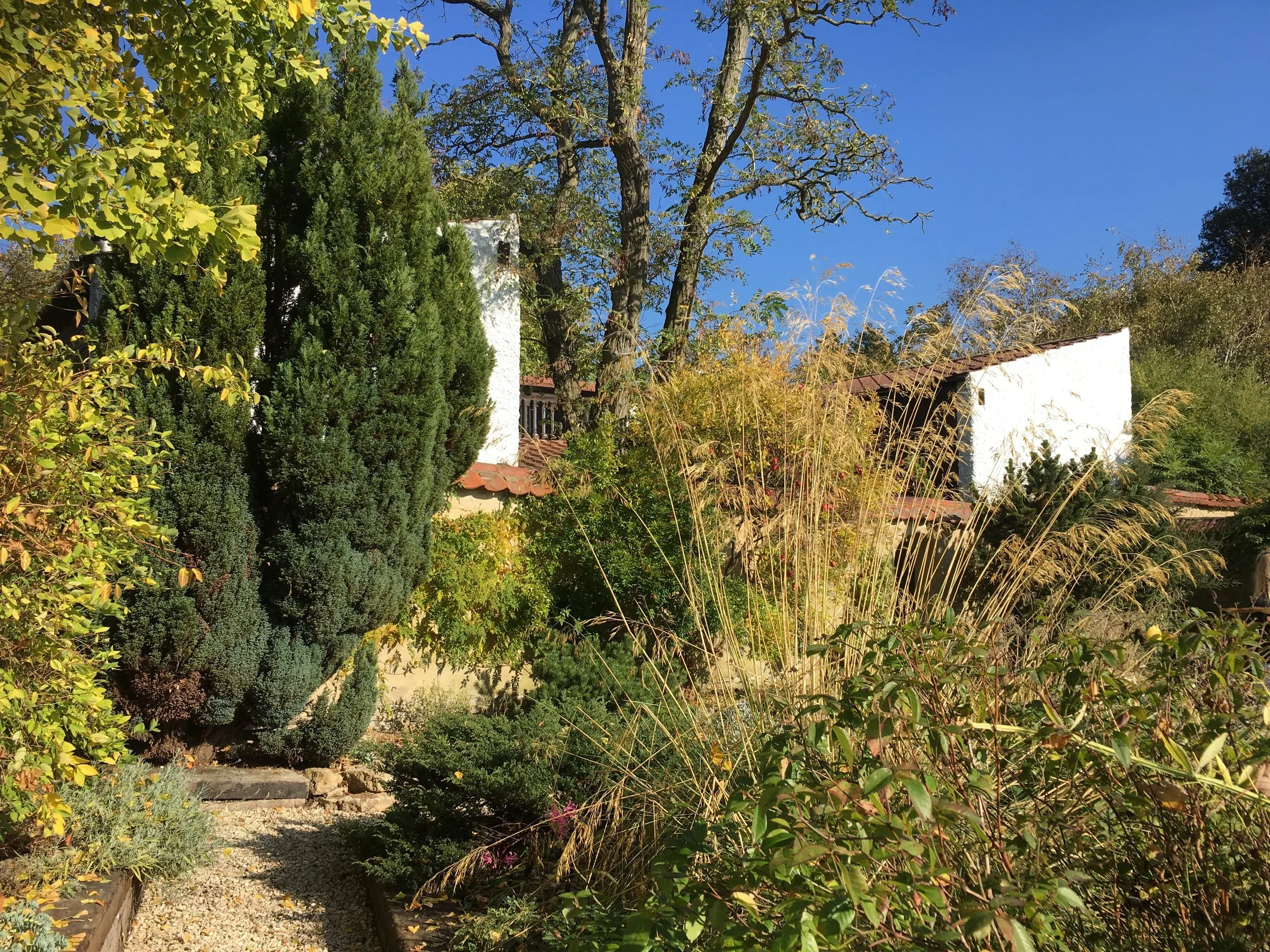 2026: Open Garden Afternoon in association with Chiltern Heritage and Culture Festival