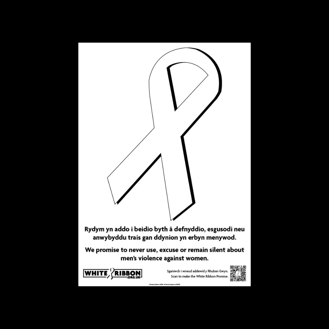 White Ribbon Promise Posters (A3) — White Ribbon UK