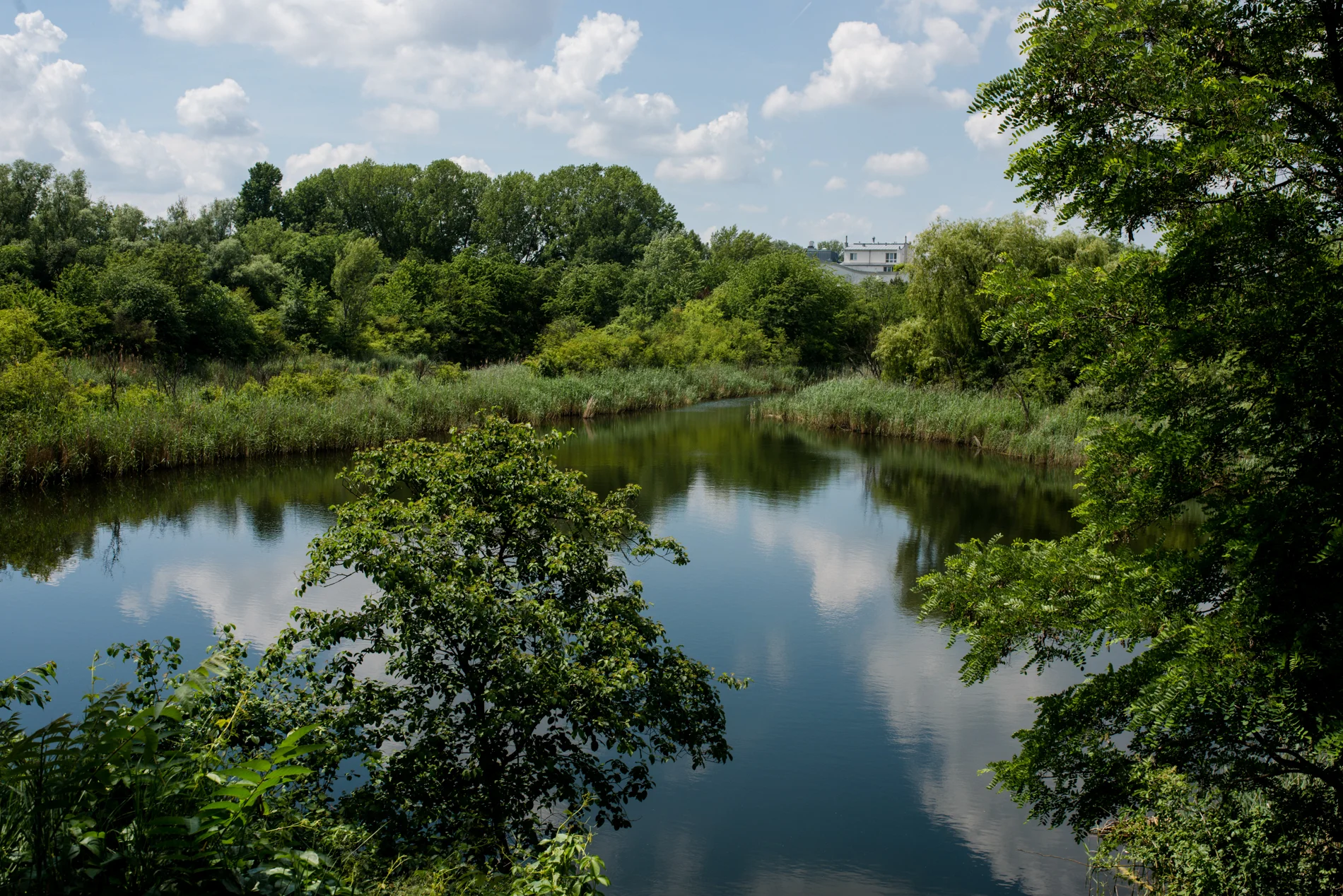 blog-sandra&roman (18 von 100).jpg