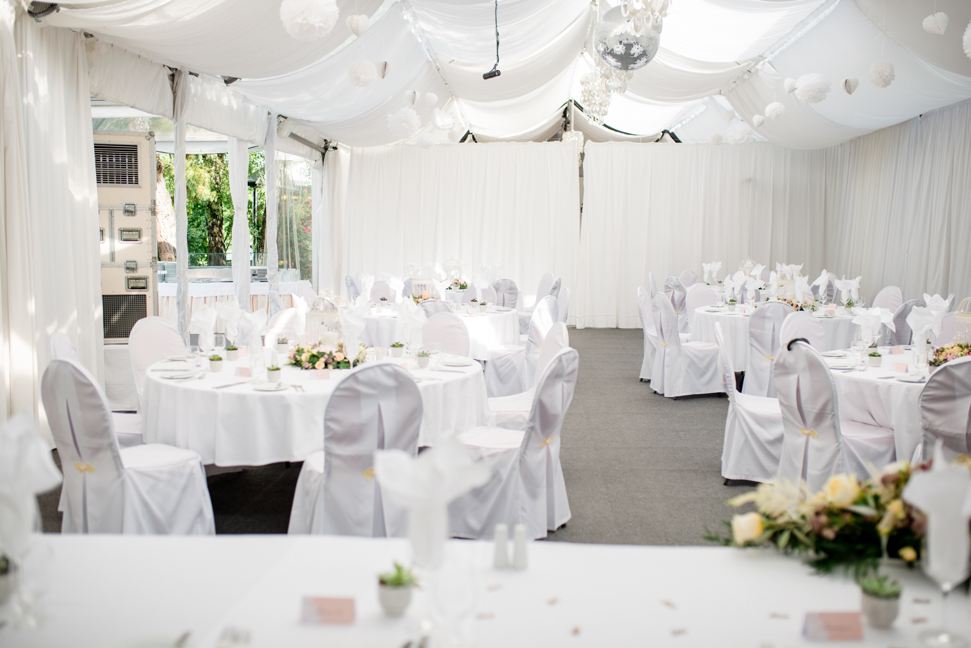 blog-sandra&roman (81 von 100).jpg