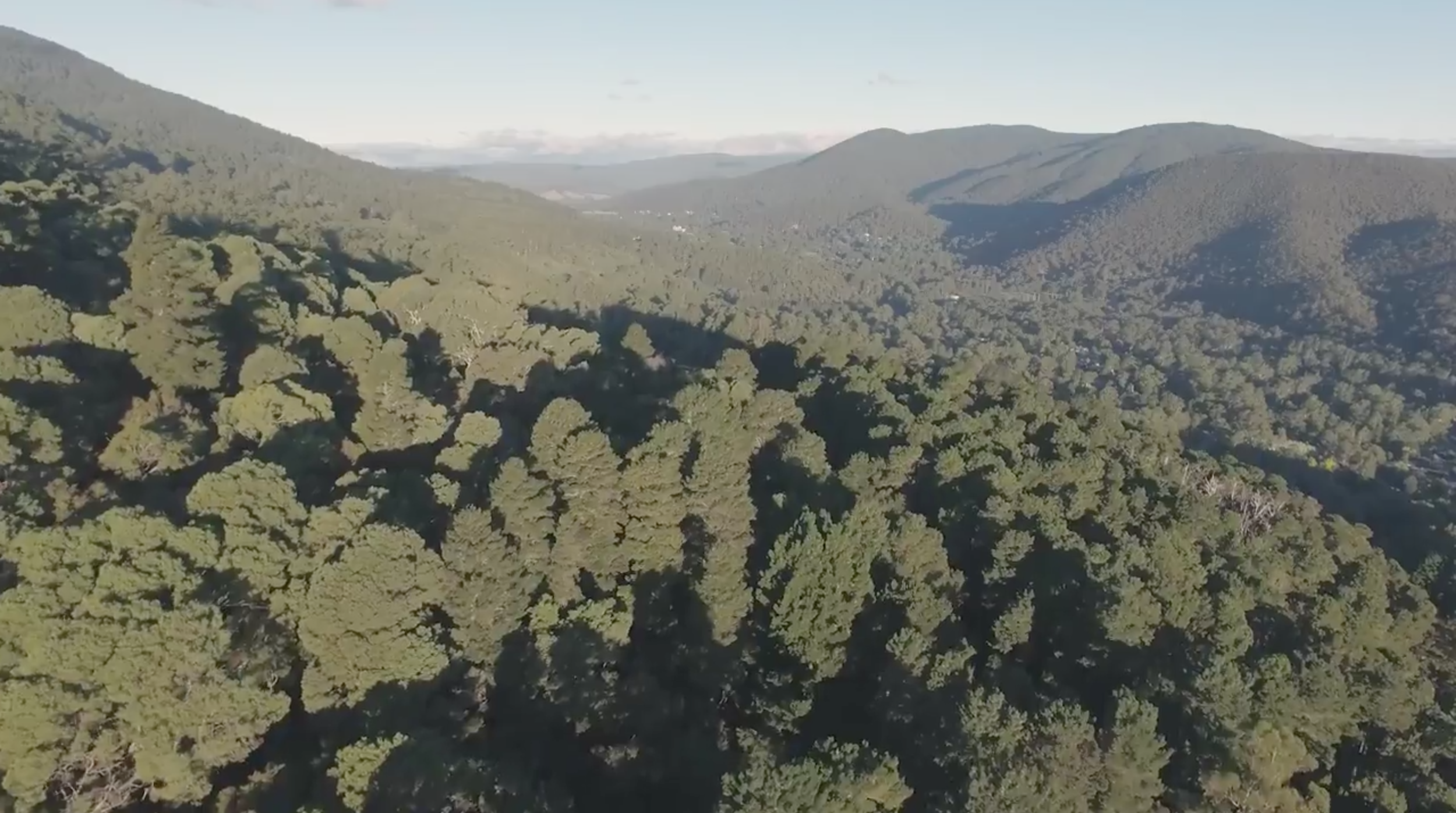 Screen Shot 2017-10-30 at 10.20.23 pm.png