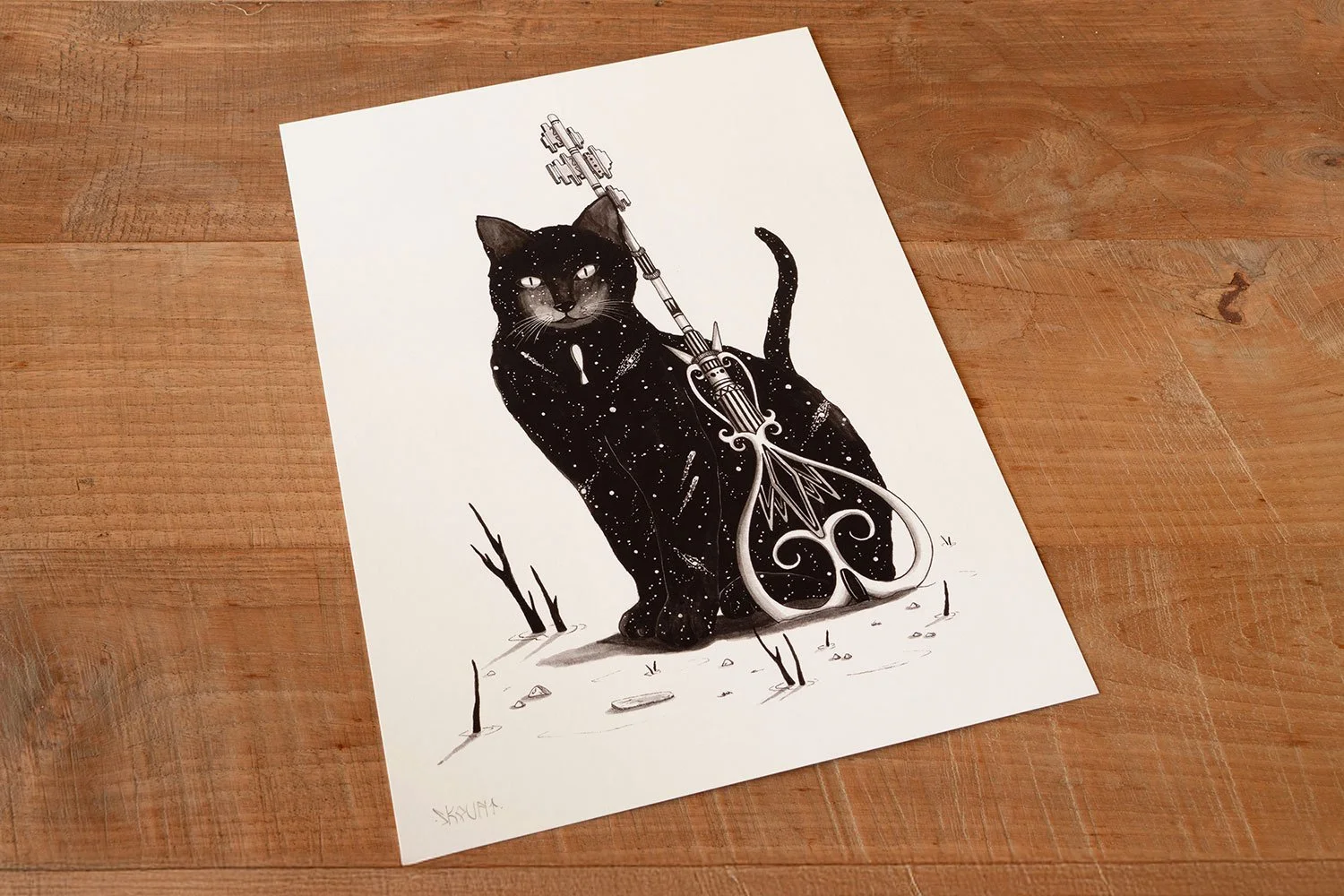 COSMIC CAT, INNER WISDOM