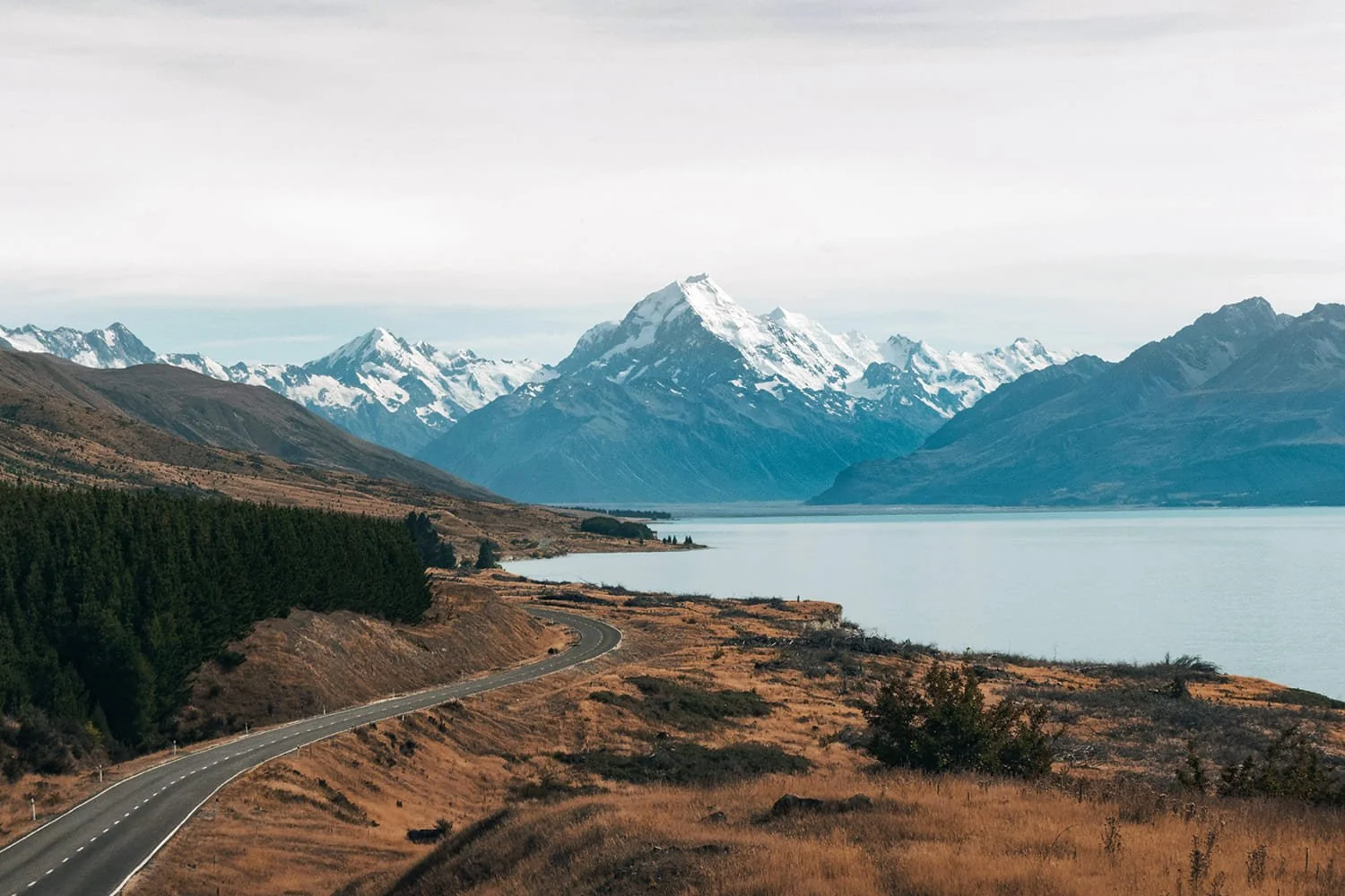 Back in the Studio After an Inspiring New Zealand Trip