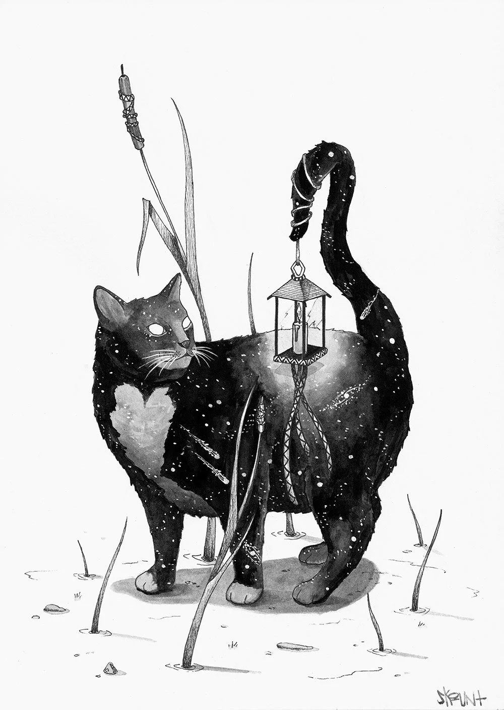 Symbolic cat ink illustration from the Cosmic Kitties series by Skount, featuring a mystical cat inspired by cosmic and spiritual themes.