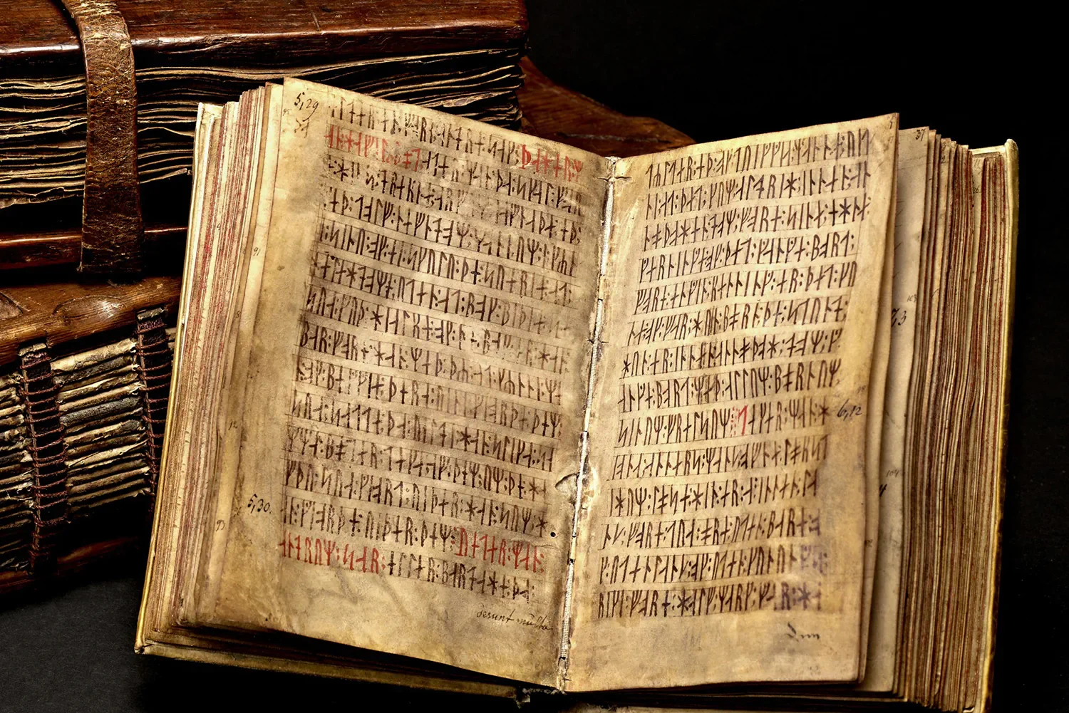 odex Runicus, a medieval manuscript written entirely in runes containing one of the oldest surviving texts of the Scanian Law.