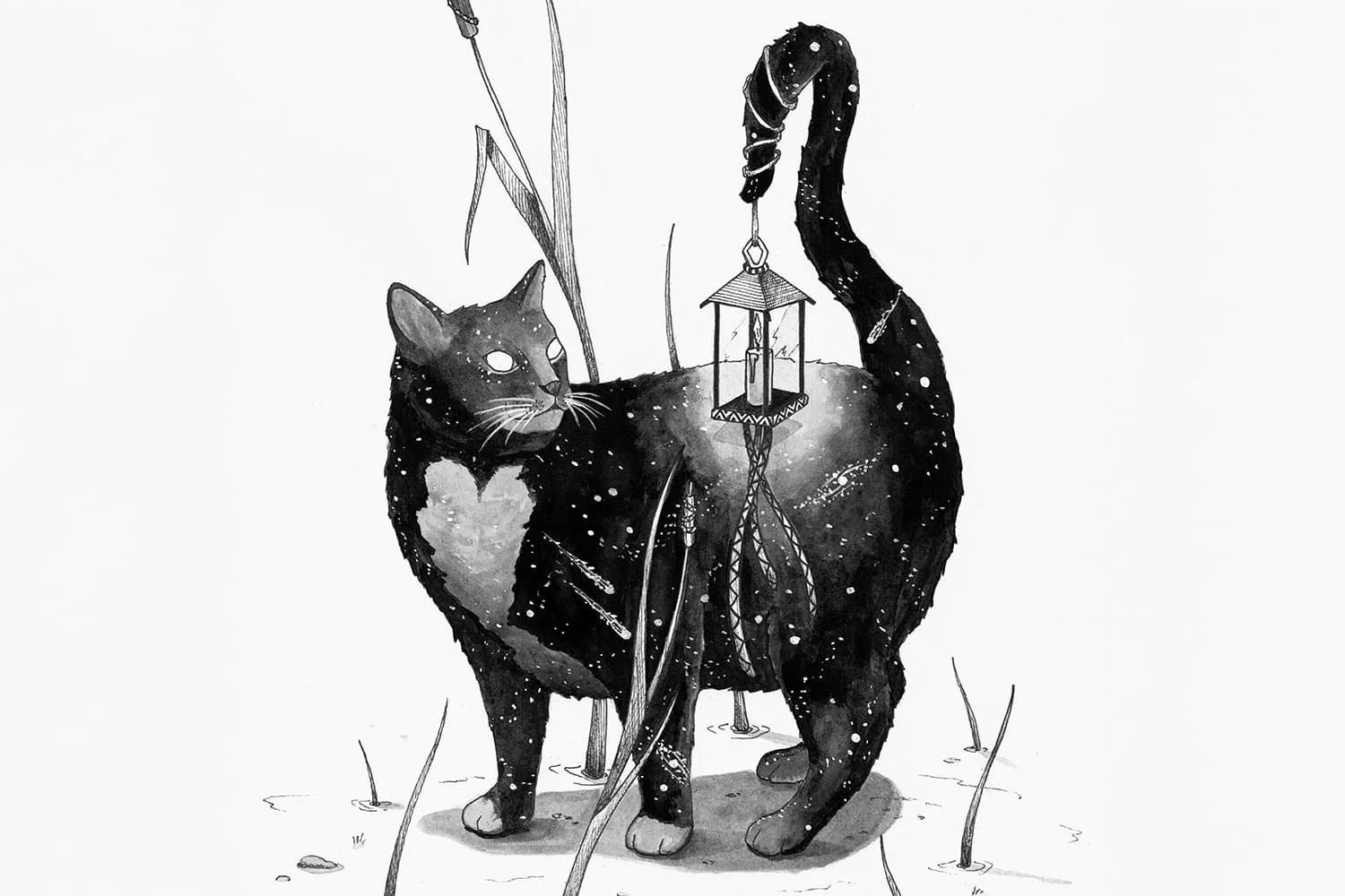 Detail of a cosmic cat ink drawing by Skount, showing symbolic line work and mystical feline art inspired by intuition and the cosmos.