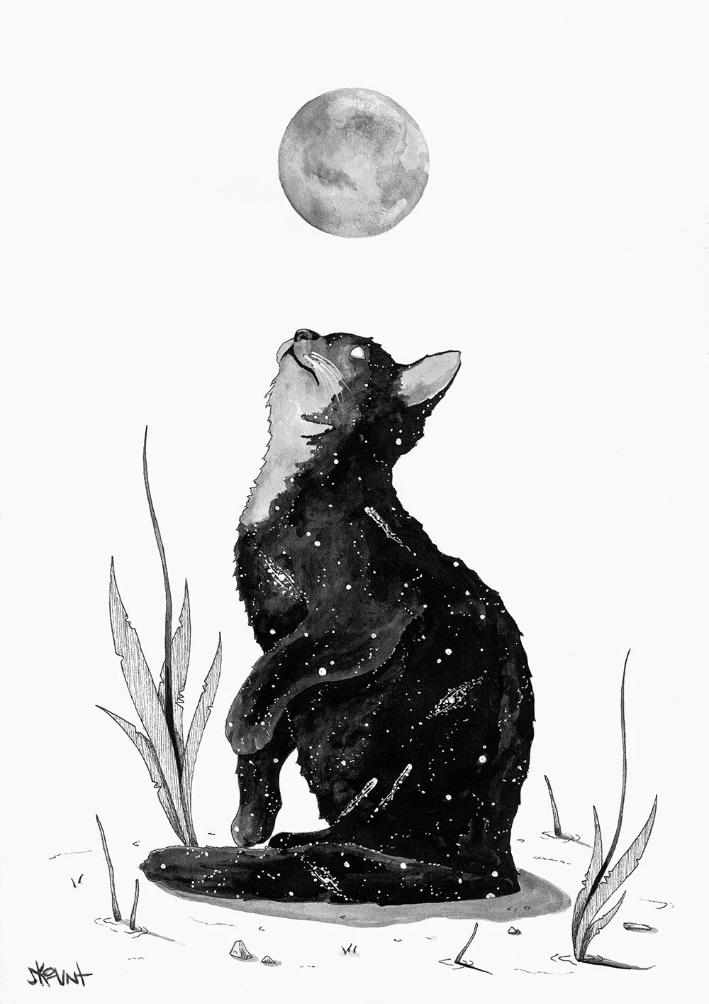 Cosmic cat, ink drawing by Skount