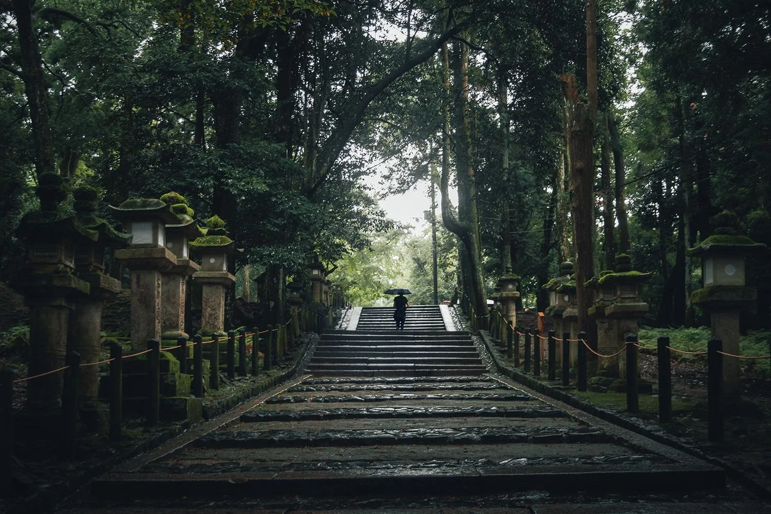 Ancient temples of Nara surrounded by forest and roaming deer, painted by Skount