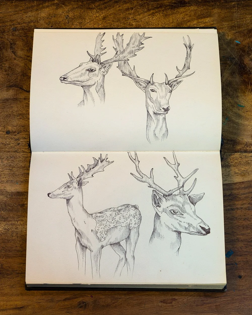 Sketch of a sika deer by Skount inspired by Nara’s sacred deer and Japanese folklore