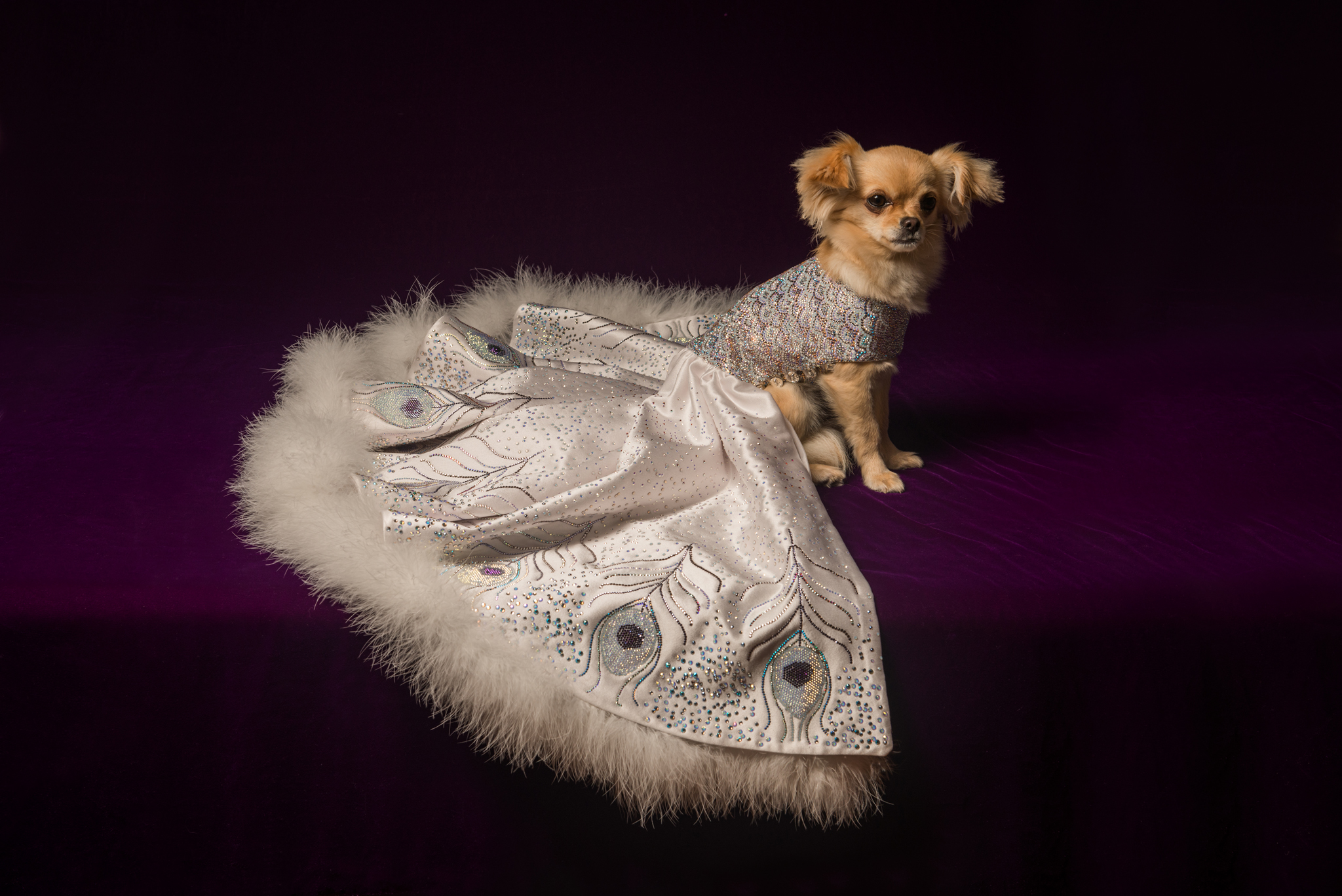 I was filmed shooting this dress by Channel 4 for their show, World’s Most Expensive Present. The images then went on to advertise the show in the national press.
