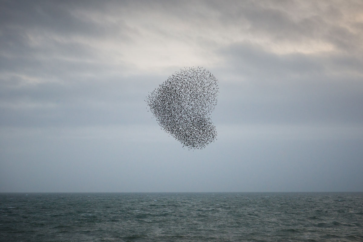 AlexBamfordPhotography_DSC_7466_1.jpg