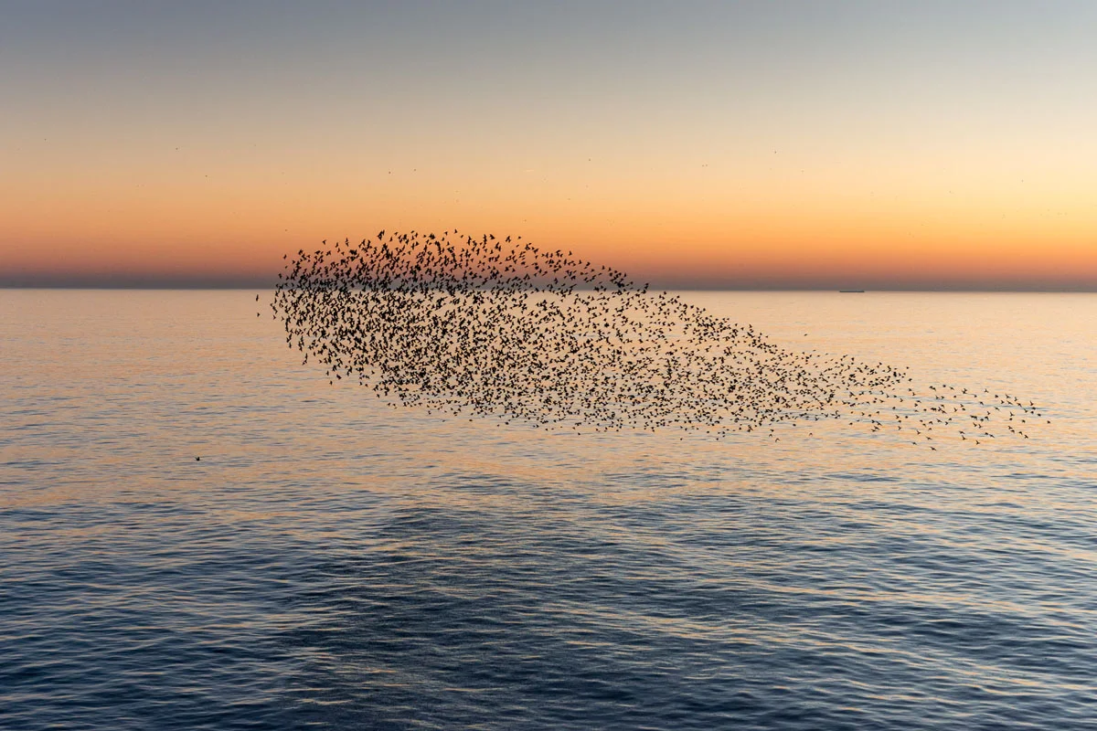 AlexBamfordPhotography_DSC_6632.jpg