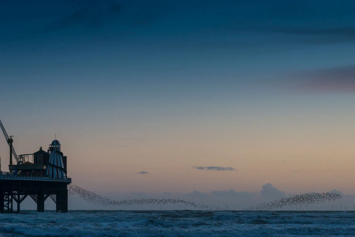 AlexBamfordPhotography-8909.jpg