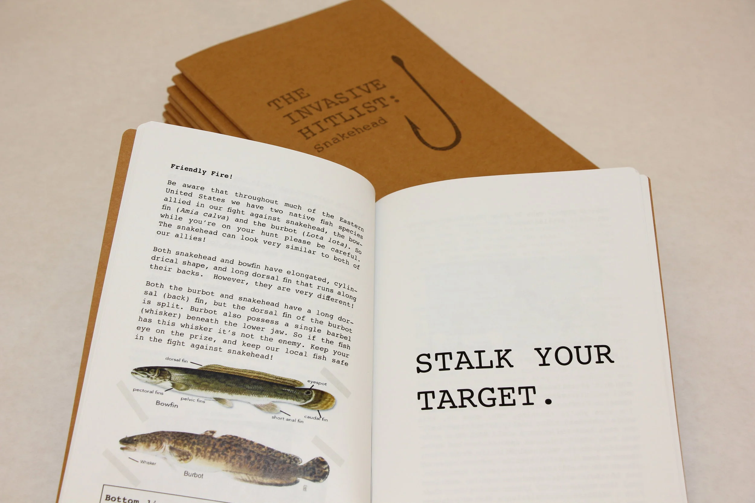 The Invasive Hitlist: Snake Head