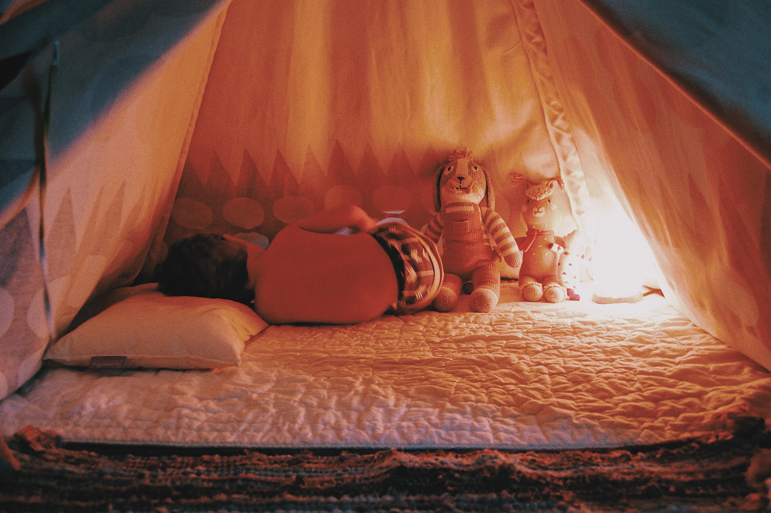 Silas, Toutou, and Machu having a slumber party!