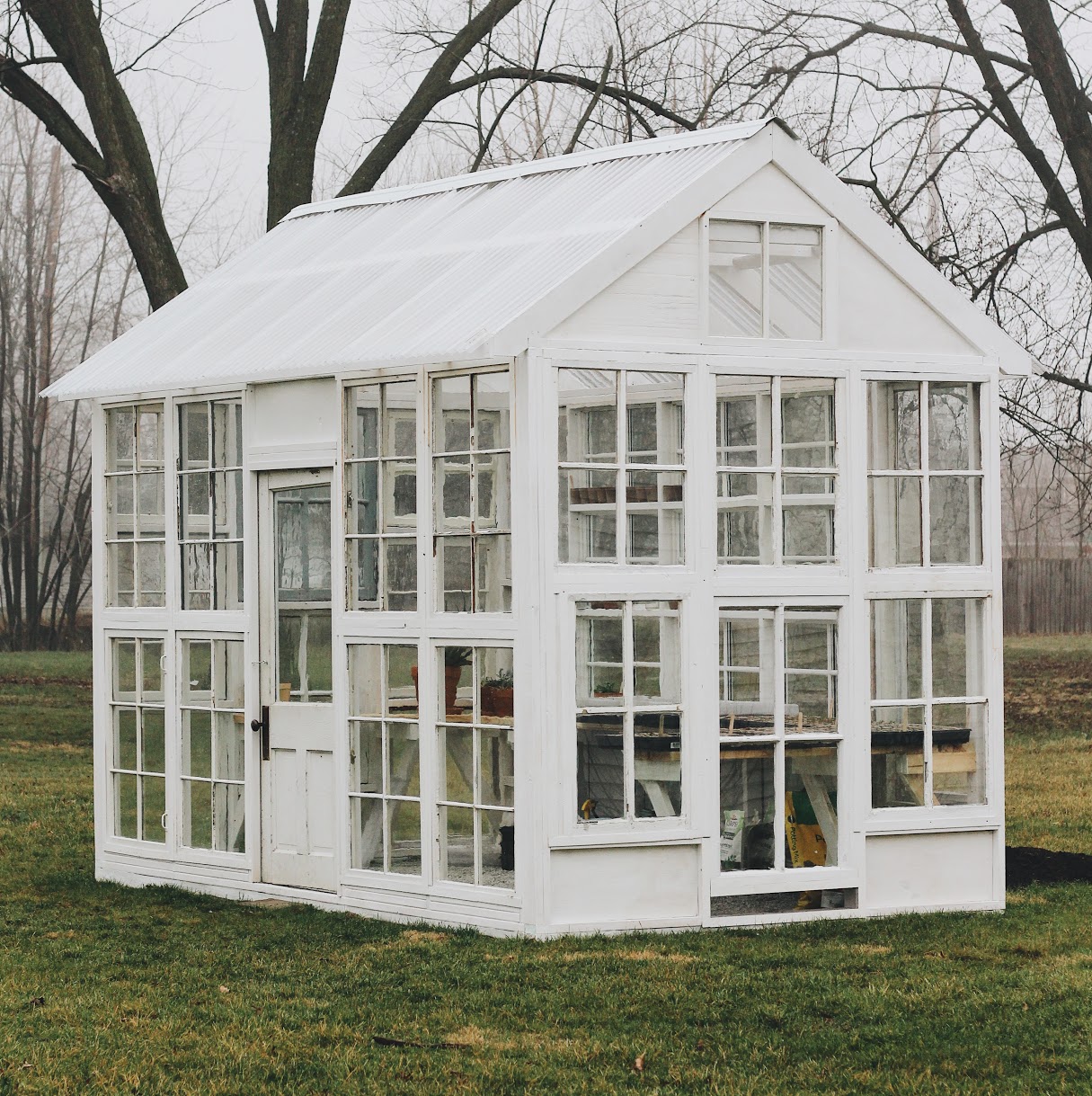 Greenhouse2.jpg