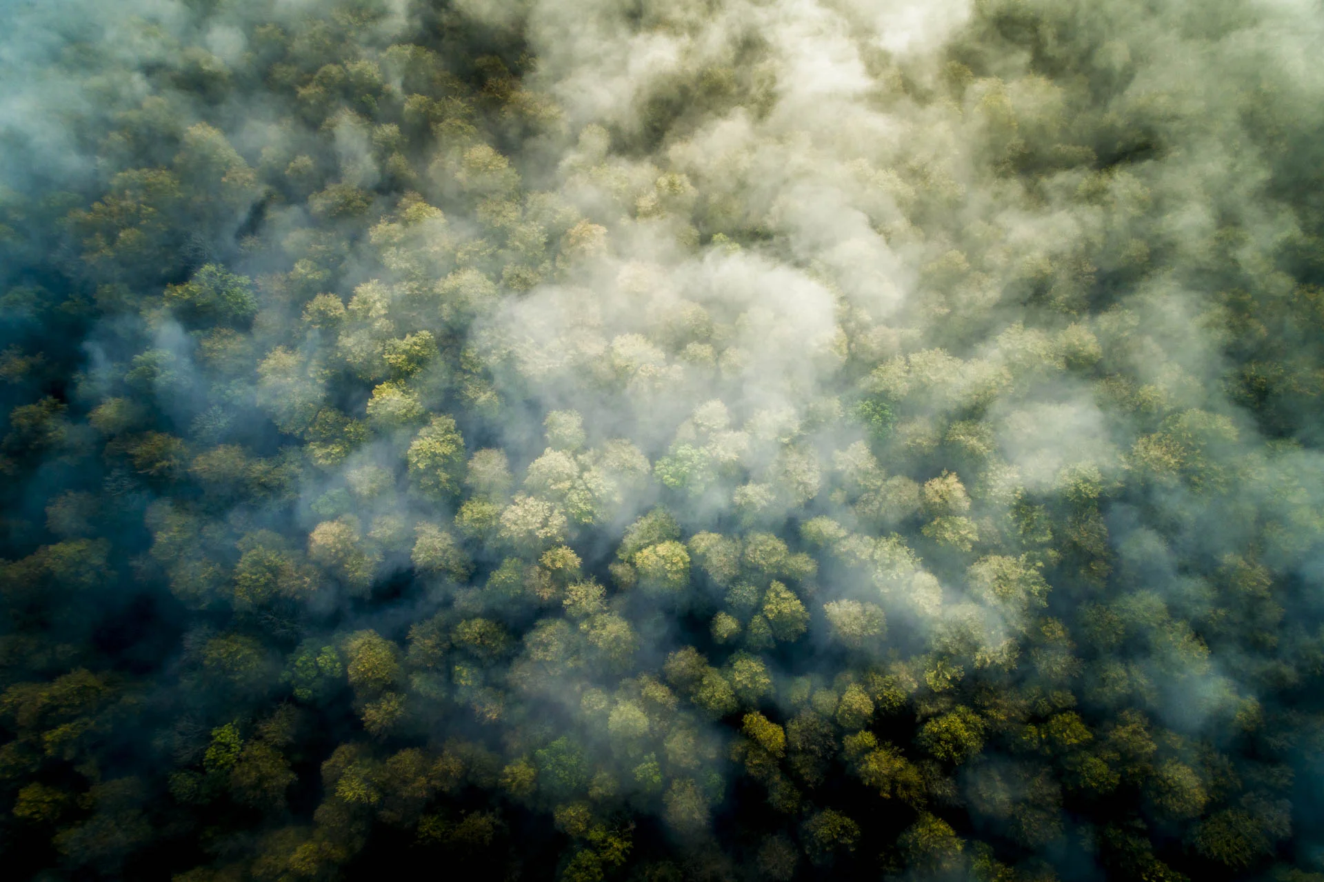 drone_balleroy©stephaneleroy-DJI_0284.jpg
