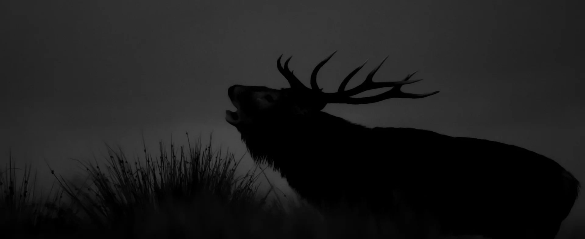 rois_scotland_1.13.1.jpg