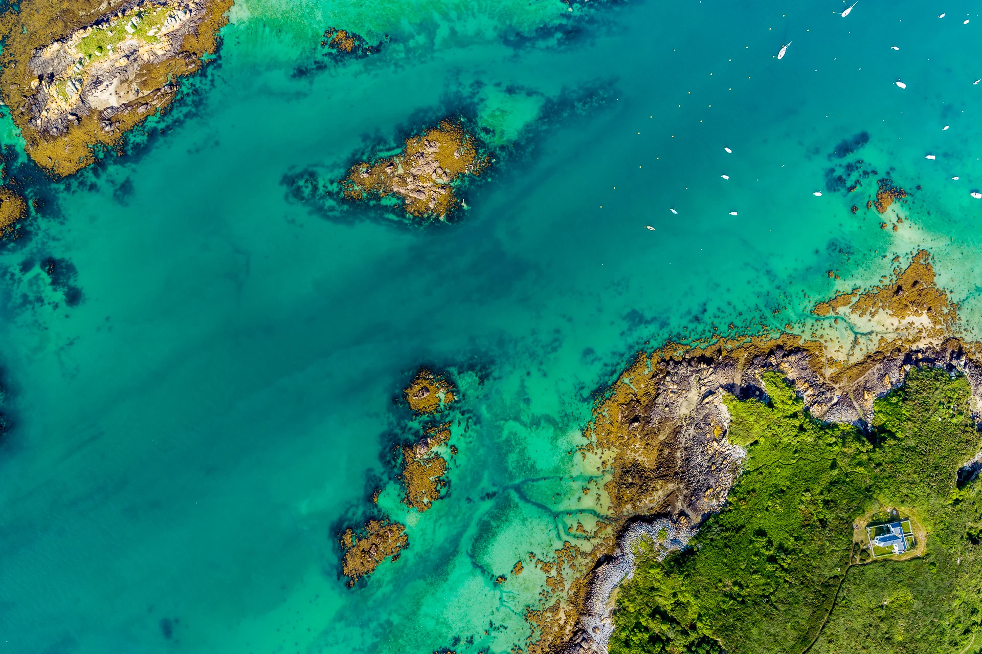 iles_chausey-0119©Stephane_Leroy.jpg