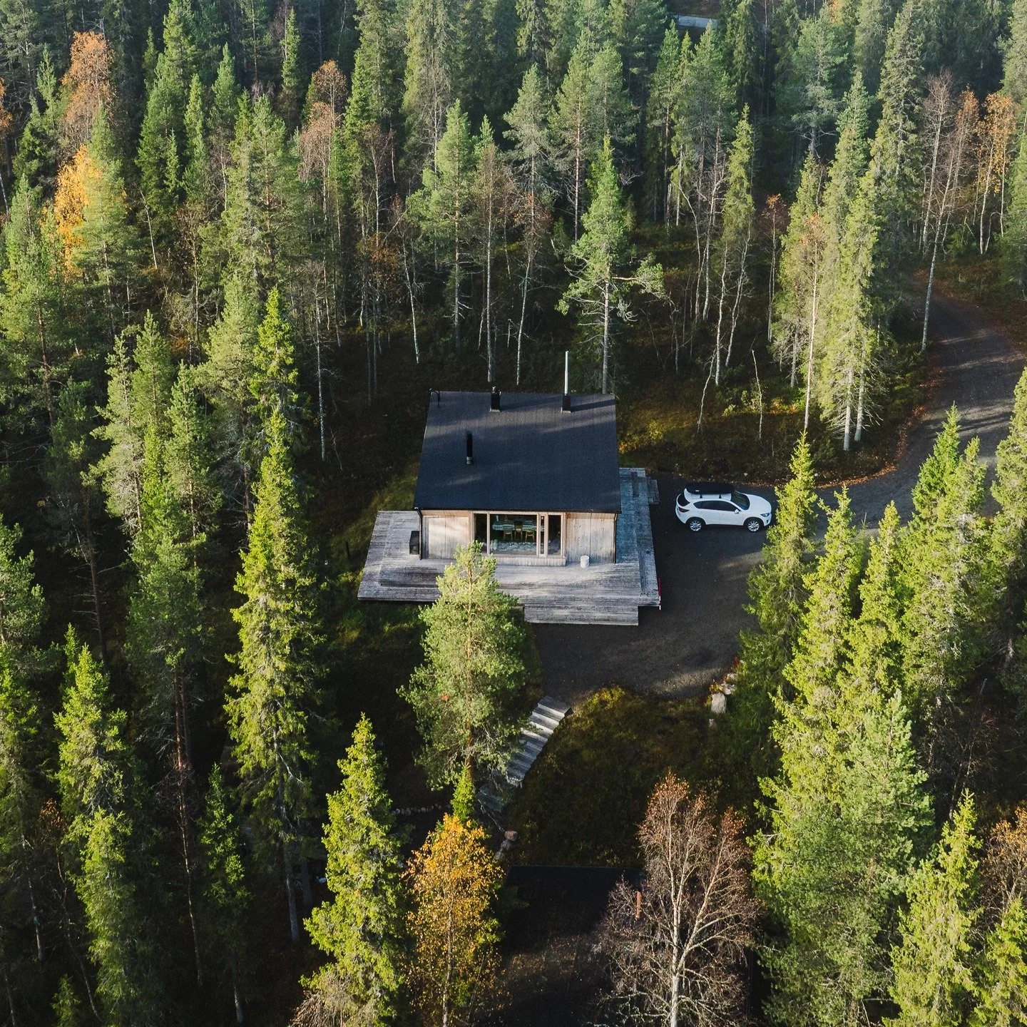 The mist hung between the trees like an old story. By the time the firewood cracked, the forest had swallowed the world again. Only the cabin stood, steady as ever.
We had a visit from the talented @christeradahl who recorded our surroundings illust