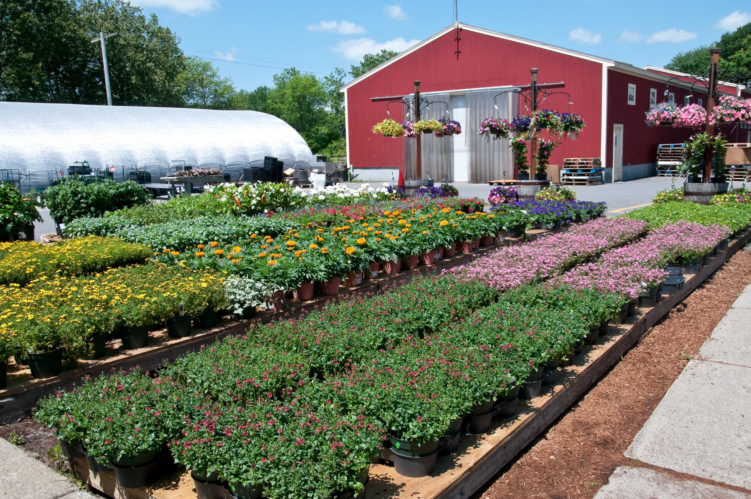 Greenhouse — Idylwilde Farms