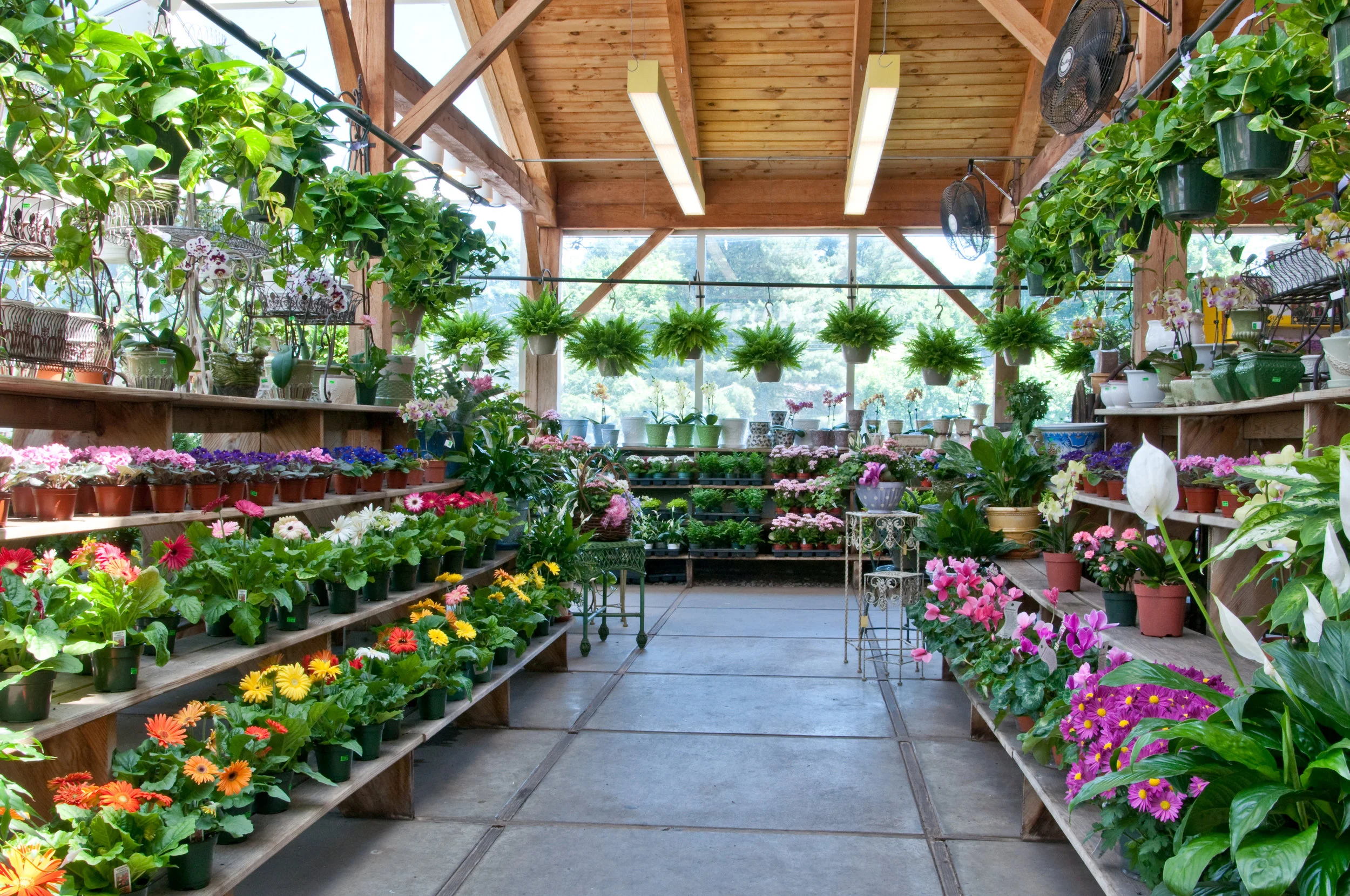 Greenhouse — Idylwilde Farms