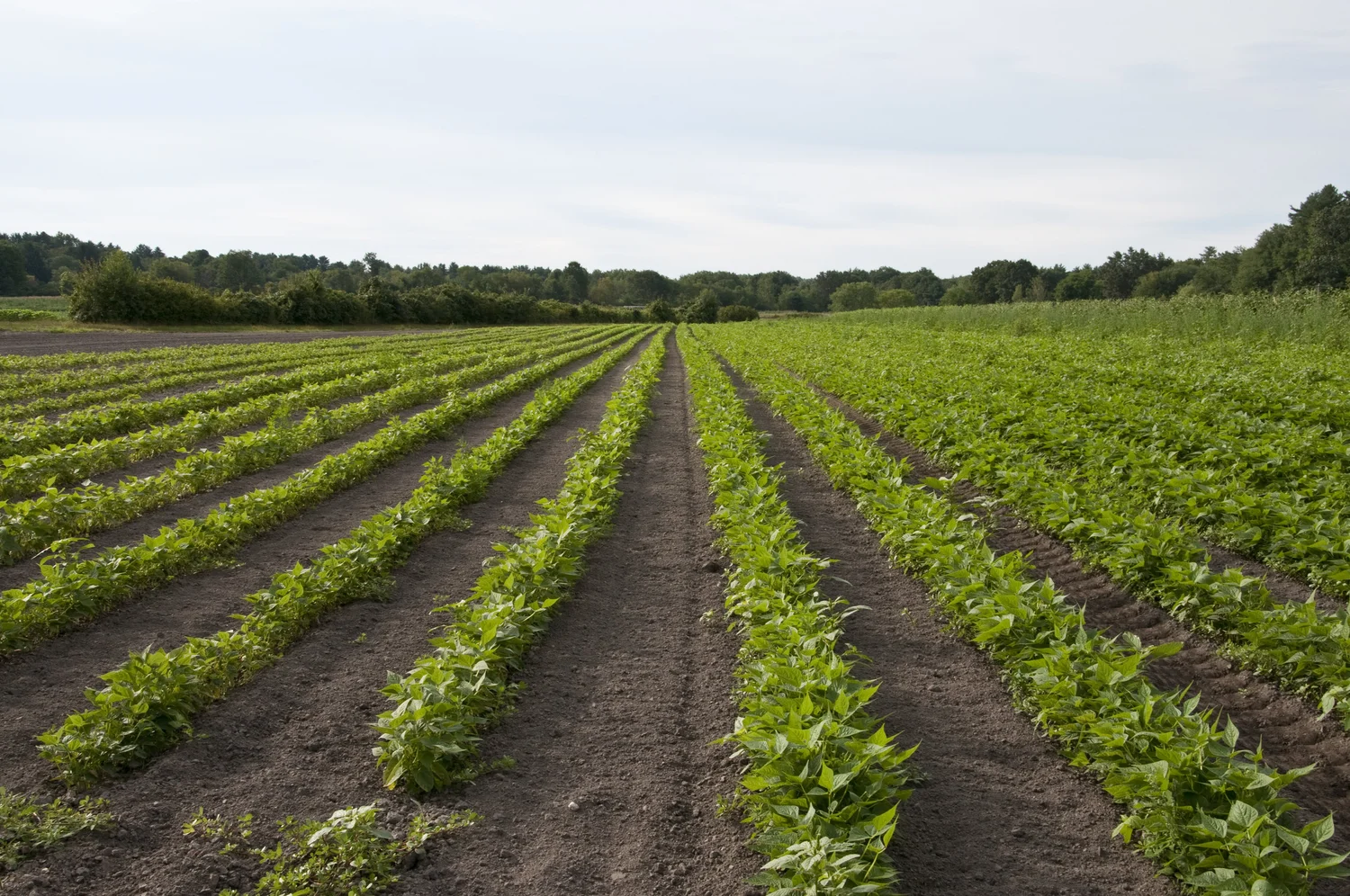 21 Best And Fun Things To Do In Quincy, Illinois: Updated 41 Things To Do In Quincy