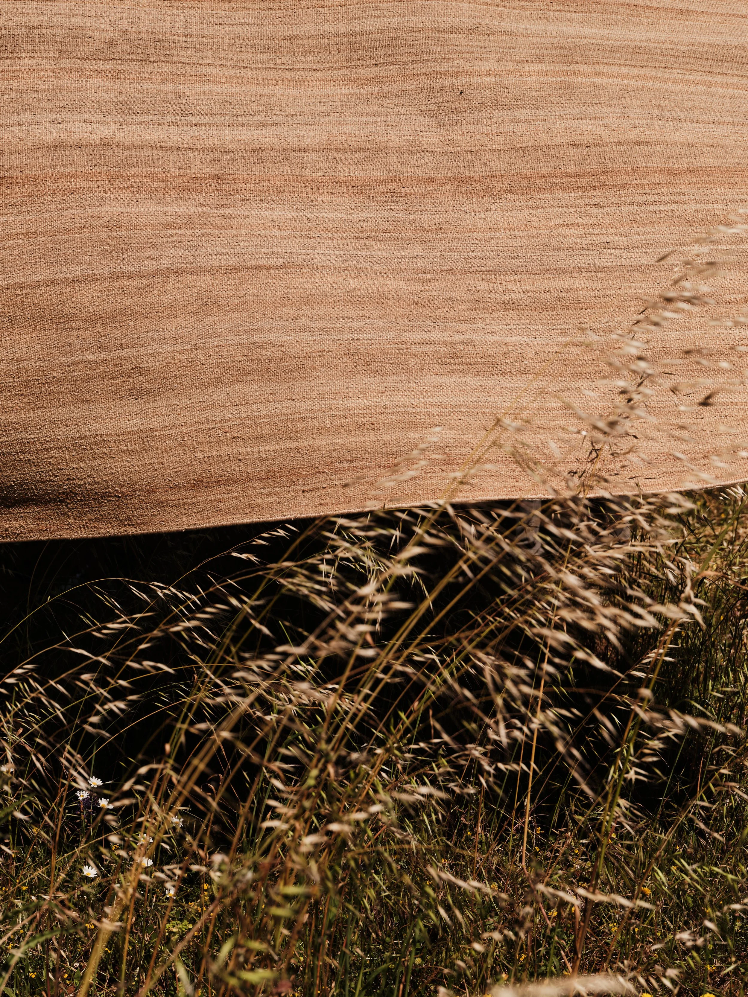 CC_FLATWEAVE SUNPAT_D3.jpg