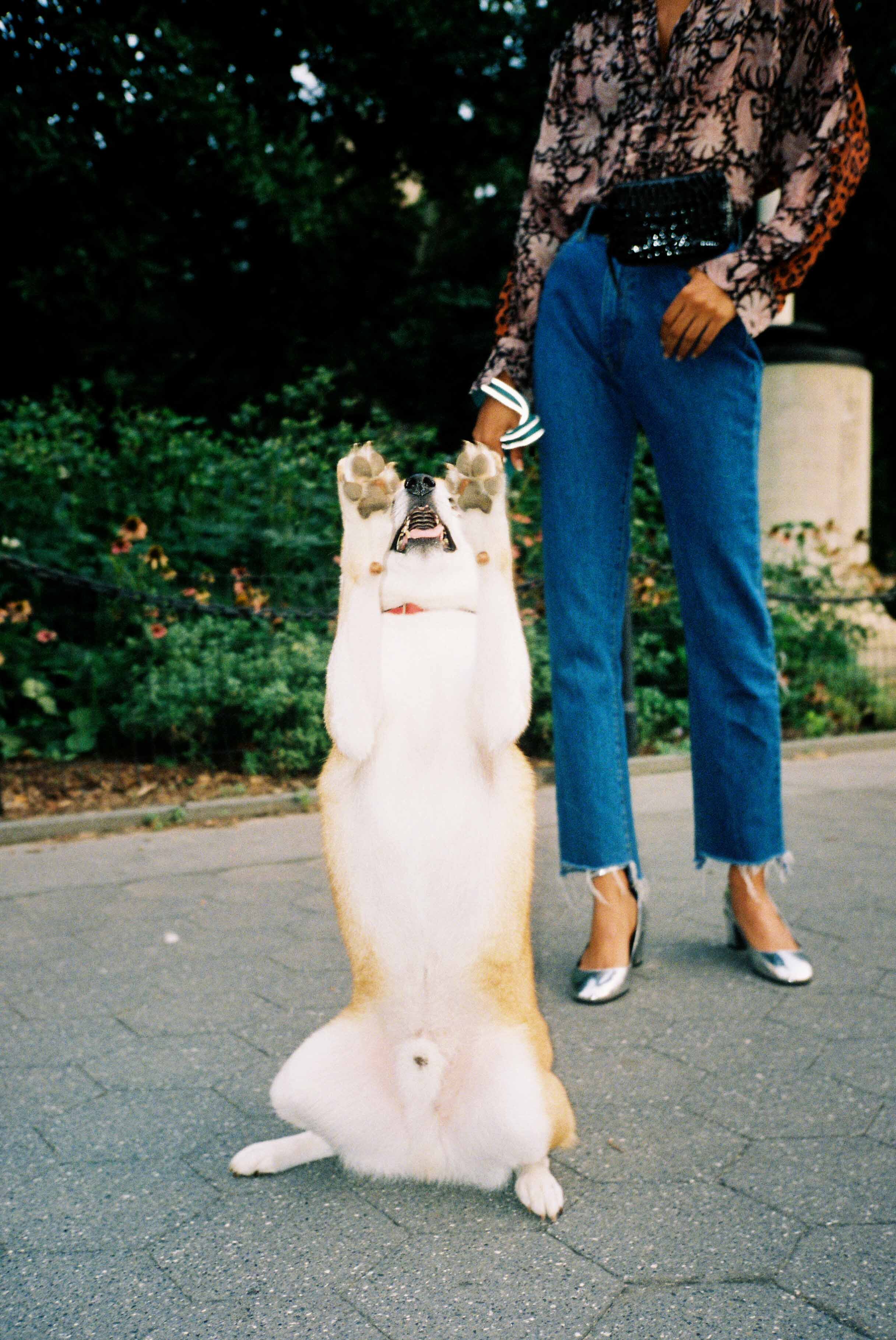 shoefilm11.jpg