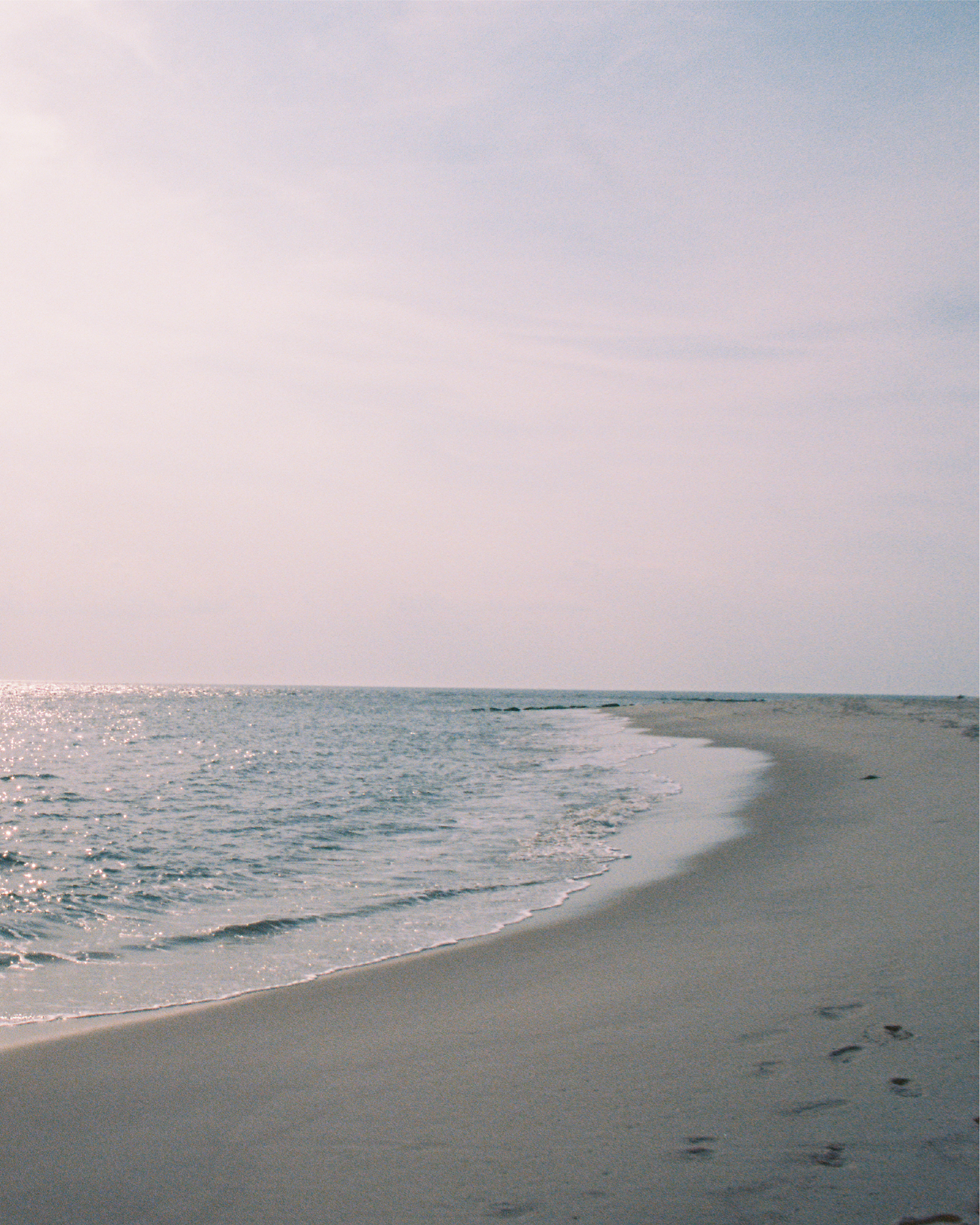 beachyprep_16.png