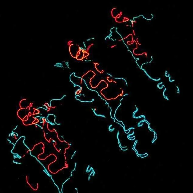 34208059_1828422380545204_8433423947919261696_n.jpg