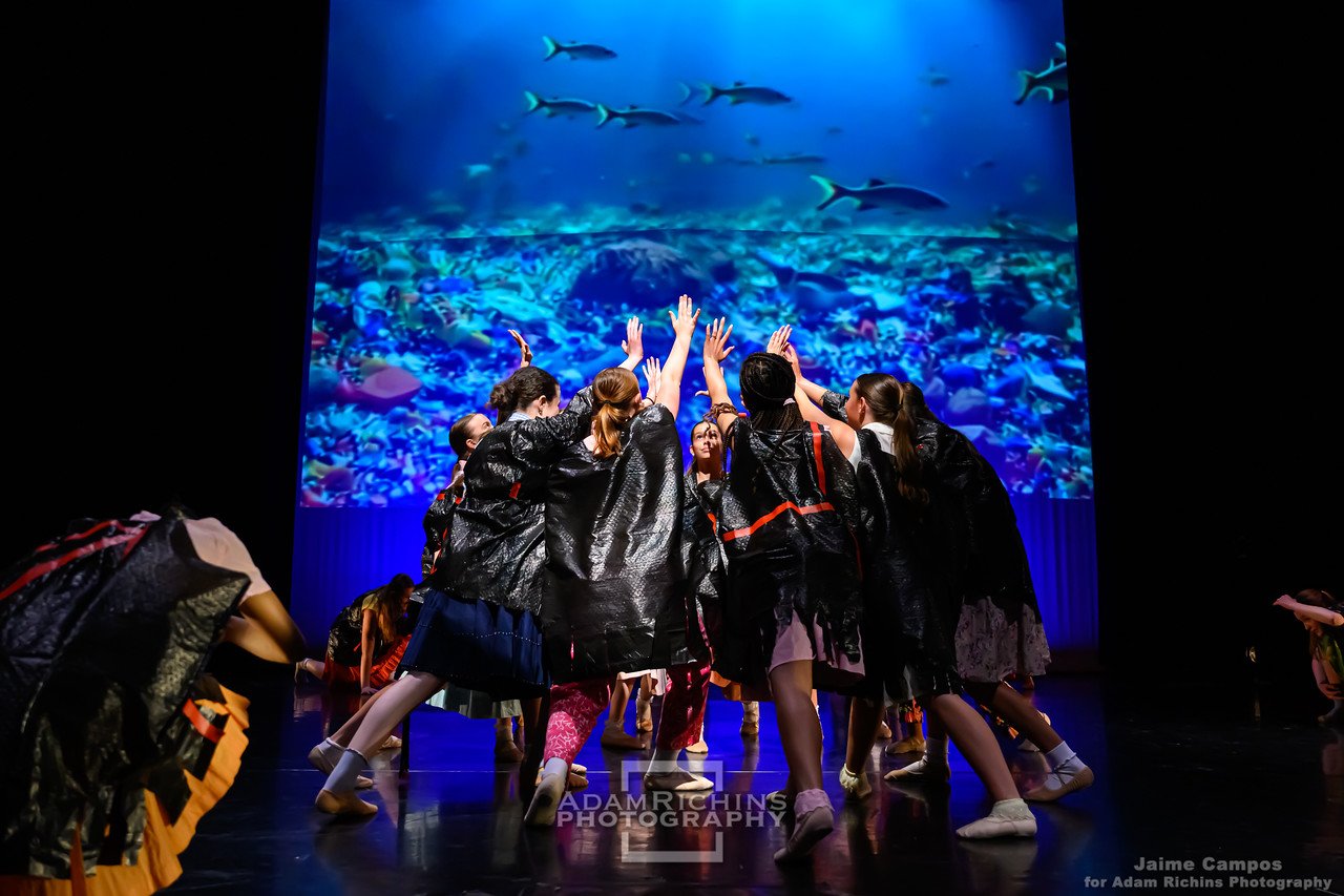 NCDS_FestivalArts_Richins_042425_144209_8154-X2.jpg
