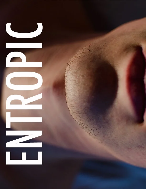 entropic_mock_poster-2.jpg