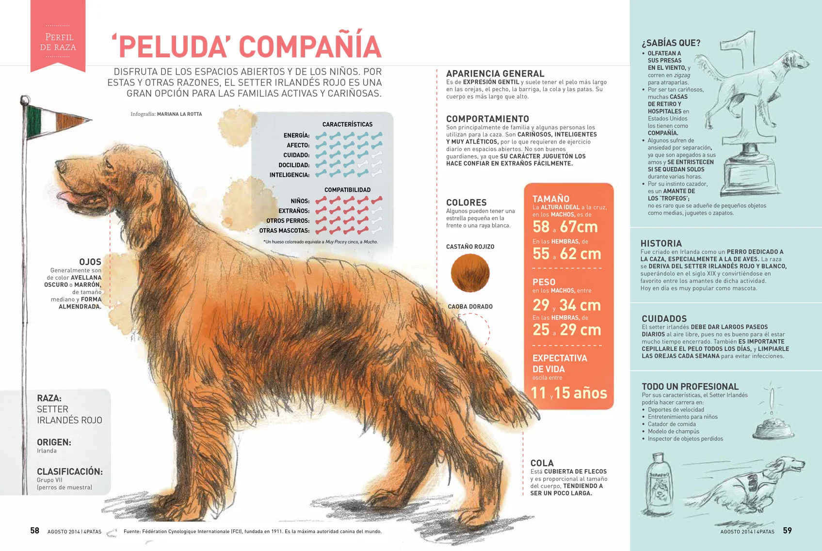 4PATAS_05_INFOPERRO.jpg