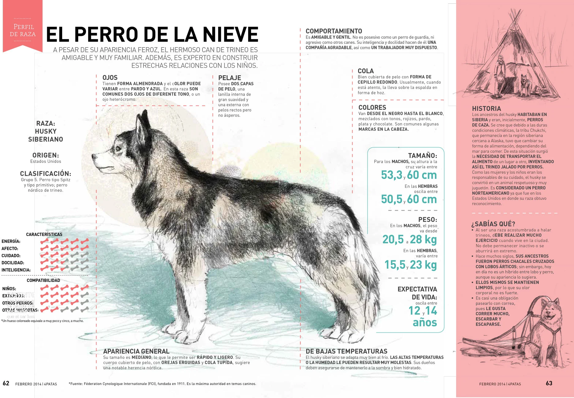 INFO_husky.jpg