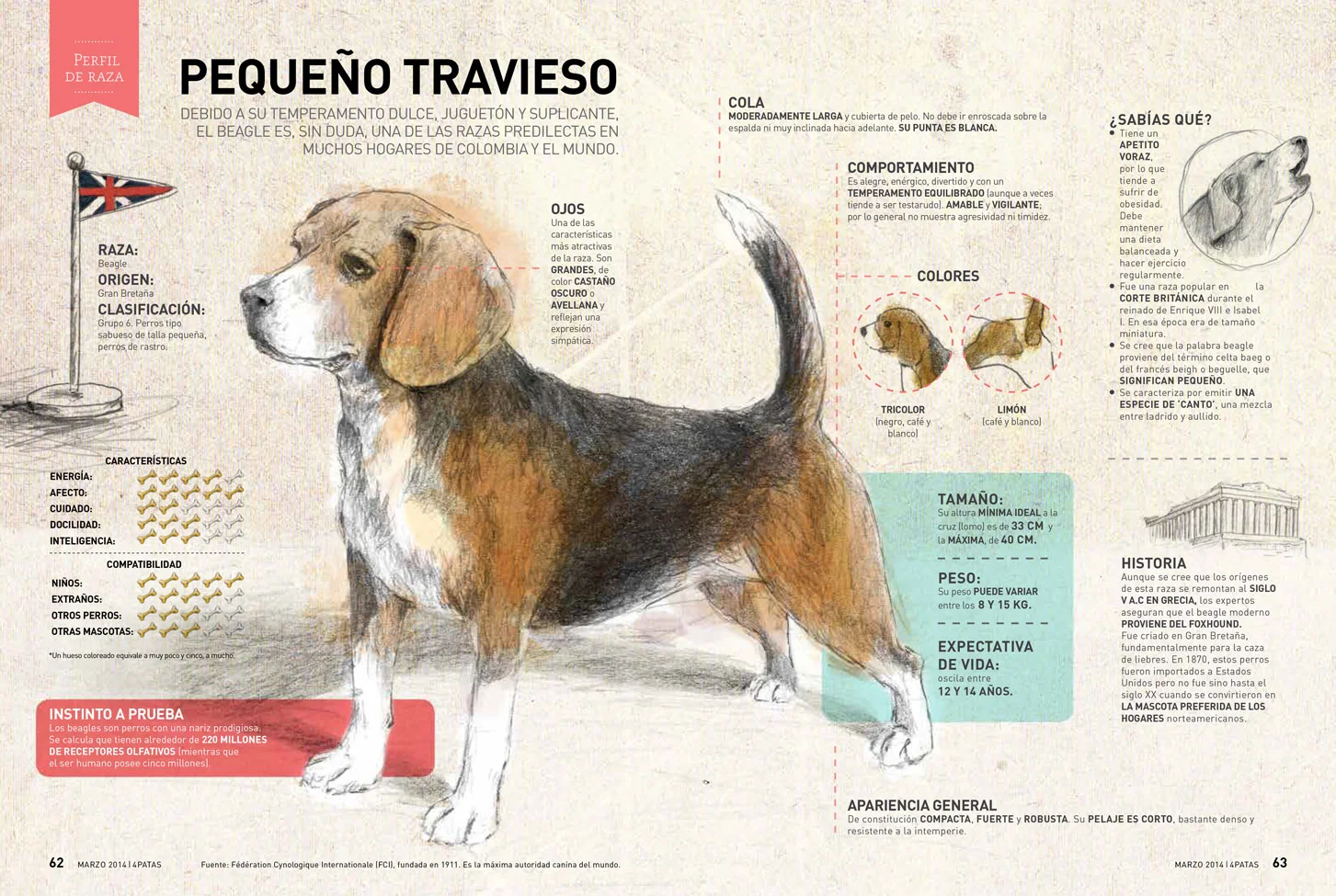 info_perro.jpg