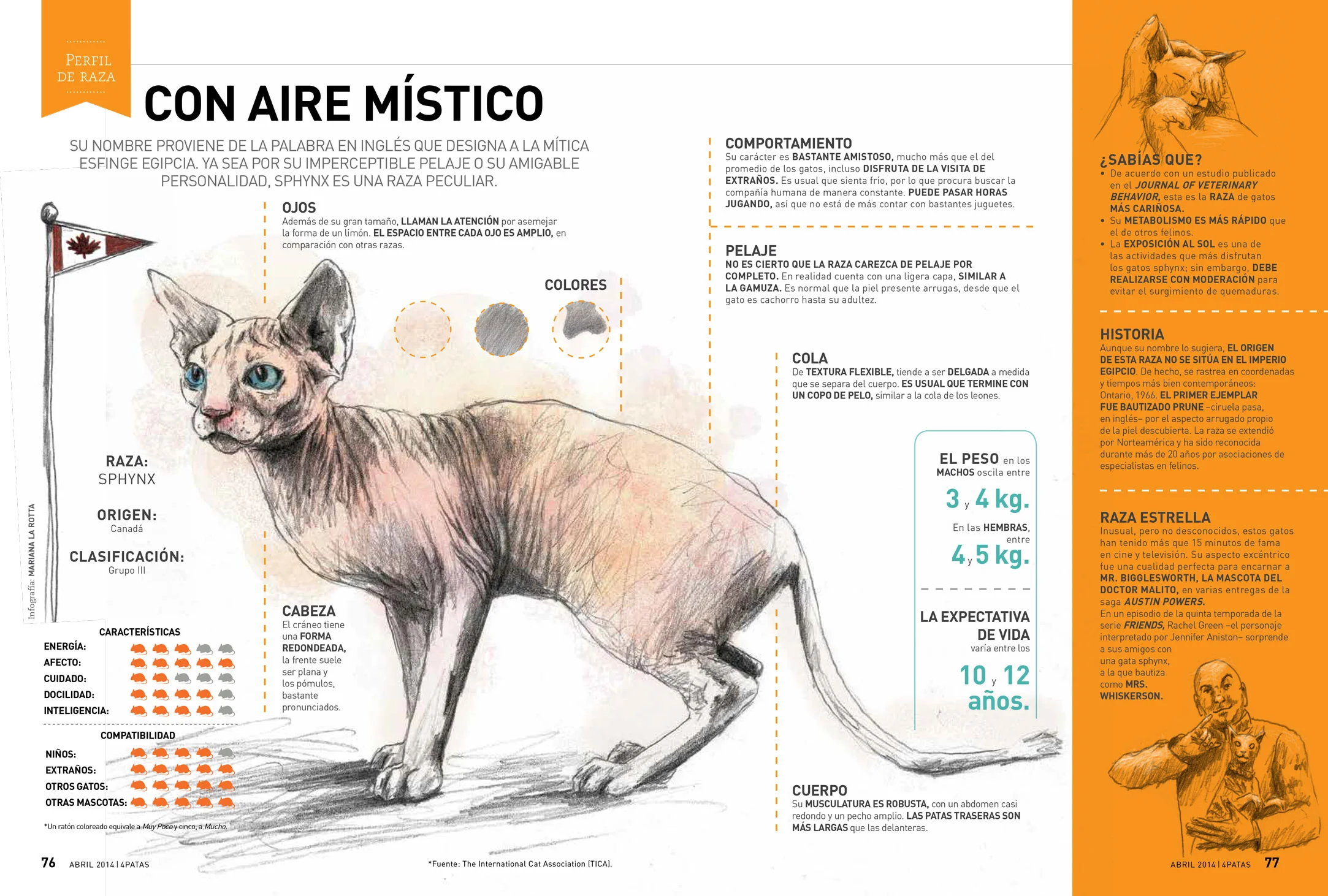 4PATAS_03_INFOGATO.jpg