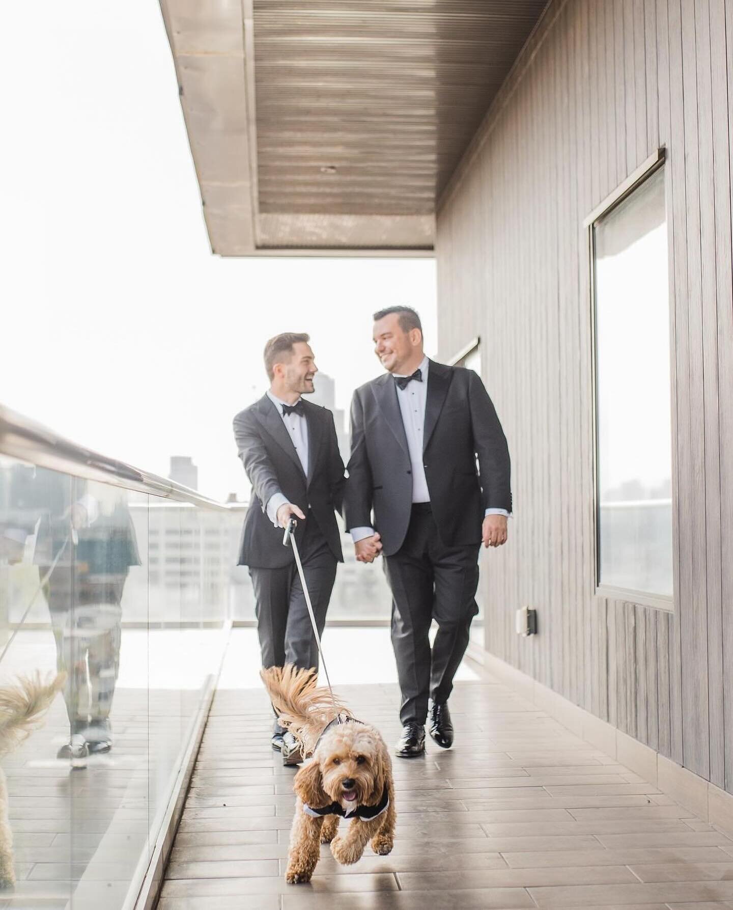 Some love stories just stick in our sentimental minds forever ❤️❤️❤️ C &amp; L, yours is one we&rsquo;ll never forget! 

officiant: #honeybreakofficiants
photos: @whitepearphoto 
venue: @ravelevents 
grooms: @louie2tymes &amp; @con24yanks 
flowers: @