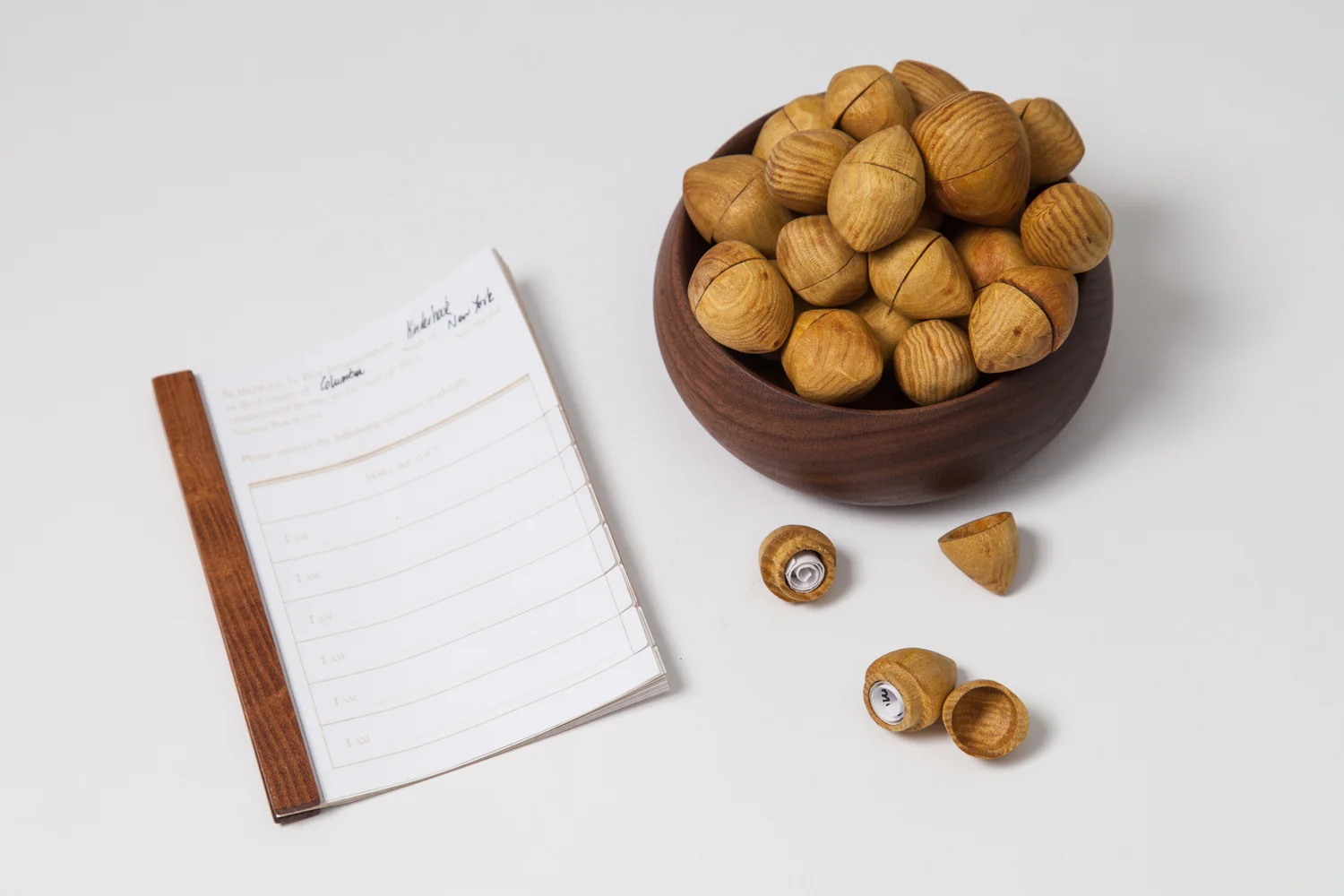 seeds of American Identity, Tara Sriram.jpg