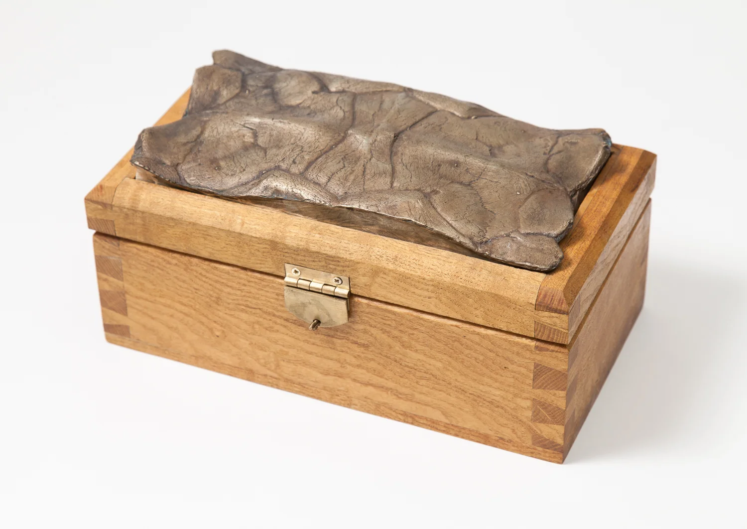 Turtle Box Joseph Fellows.jpg