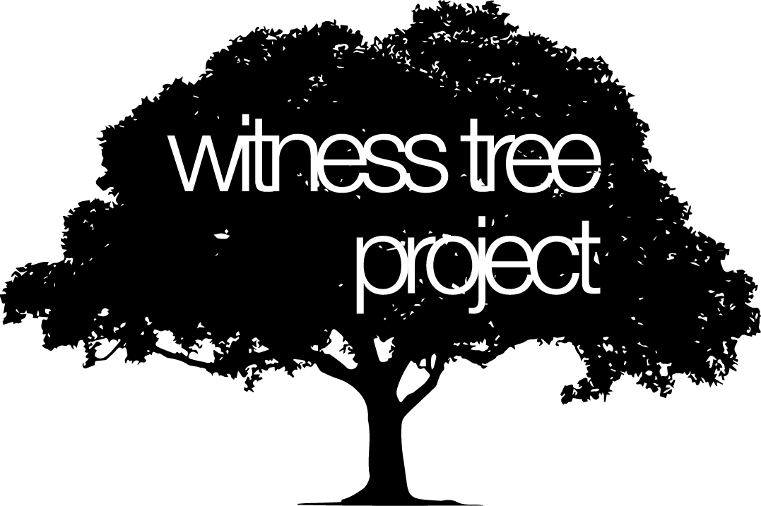 Witness Tree Project